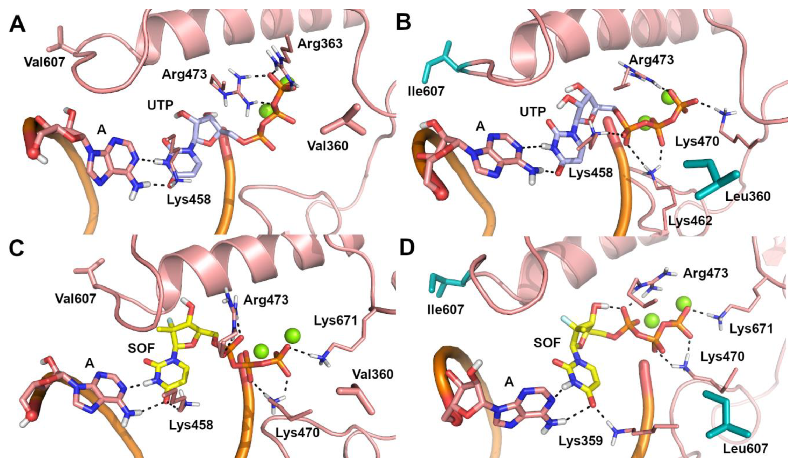 Ijms 22 02670 g001 Ijms 22 02670 g001
