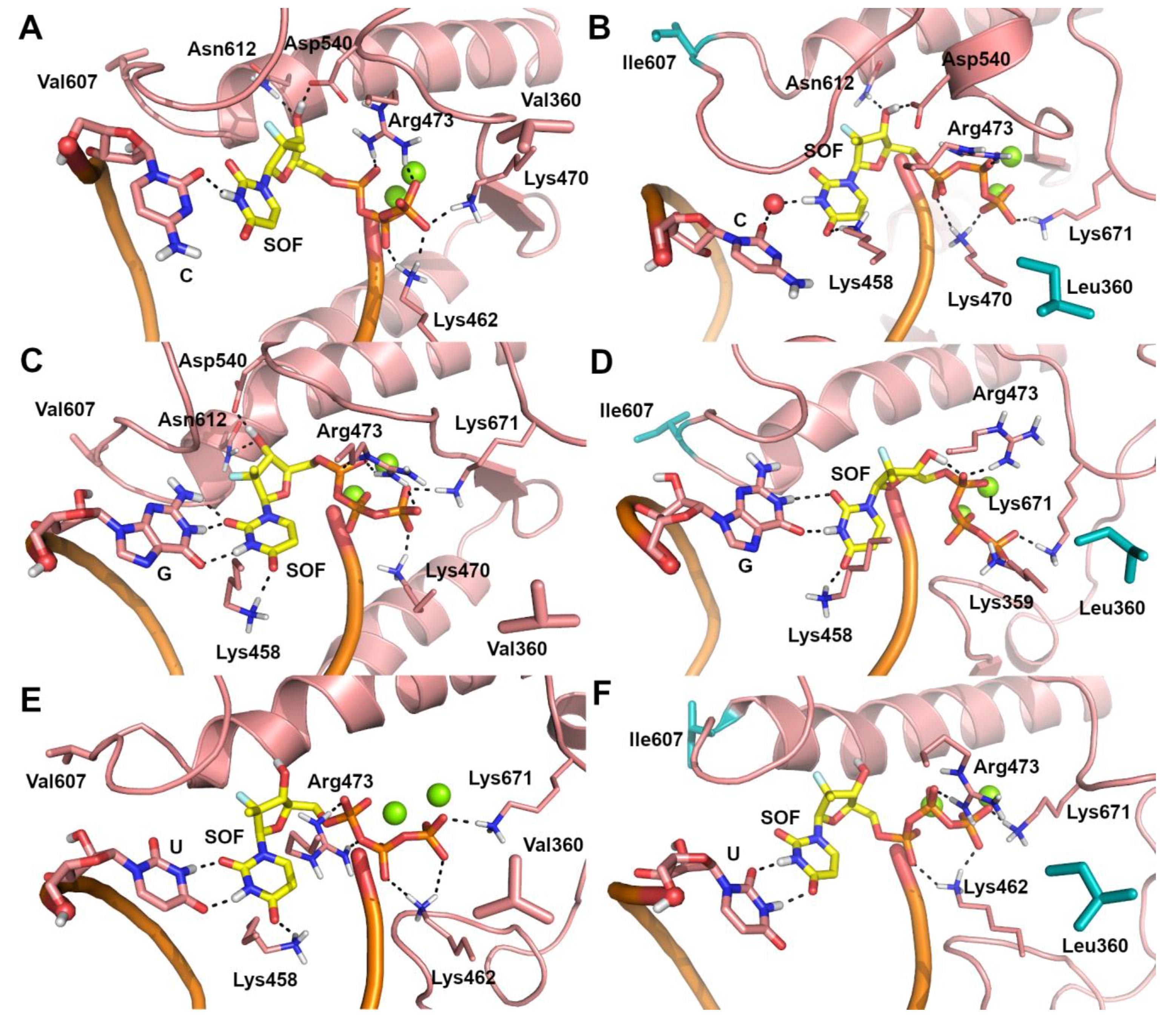 Ijms 22 02670 g002 Ijms 22 02670 g002