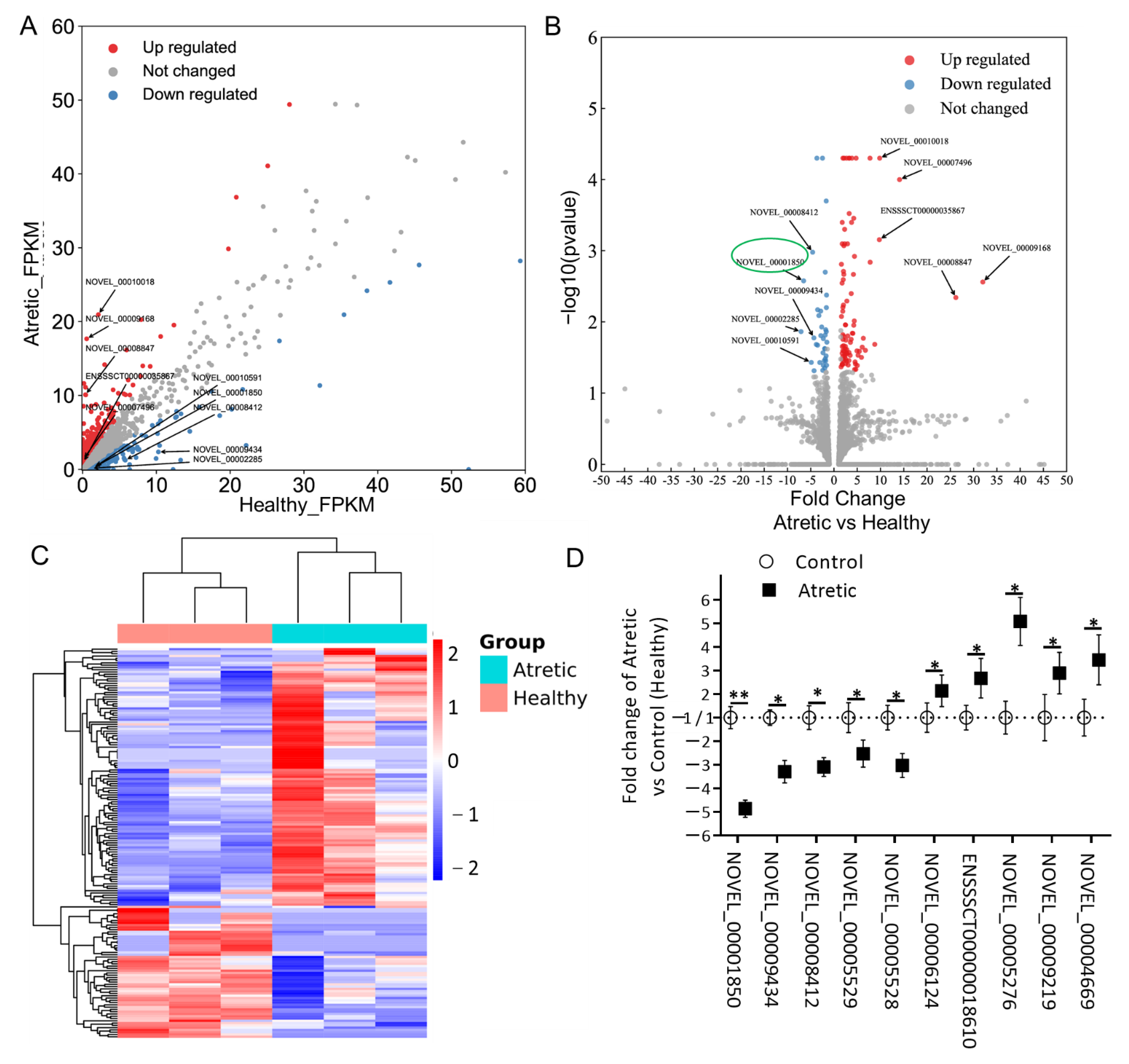 Ijms 22 02677 g002 Ijms 22 02677 g002