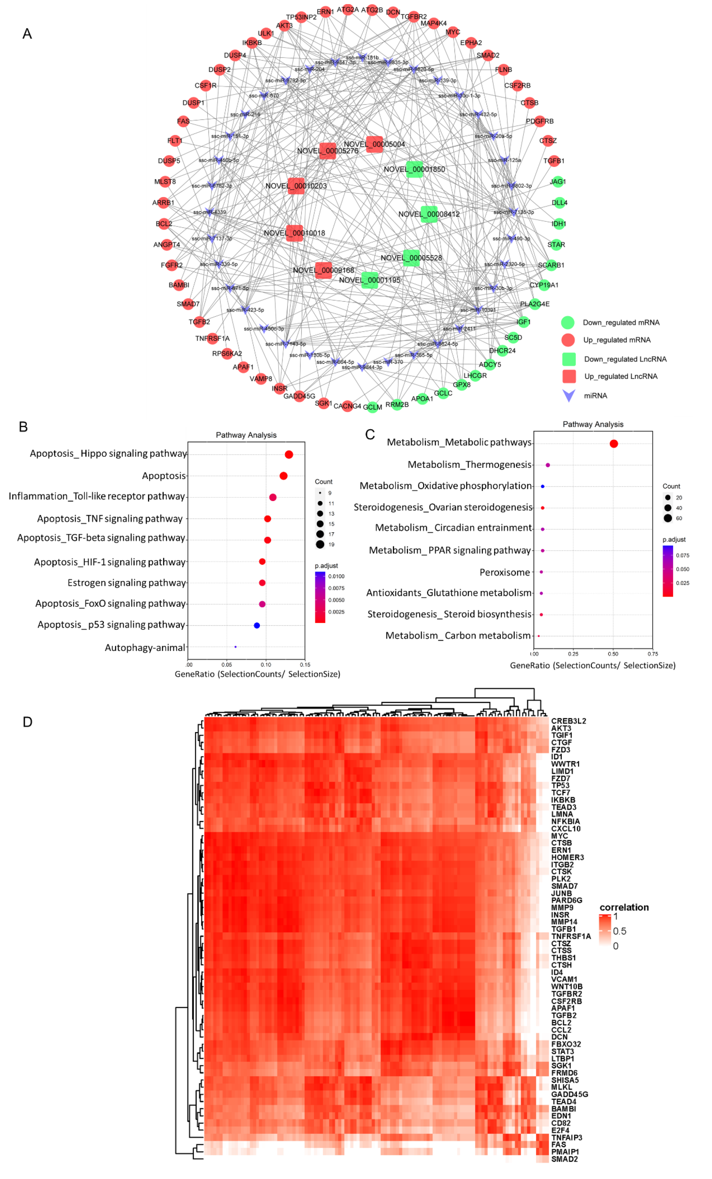 Ijms 22 02677 g004 Ijms 22 02677 g004
