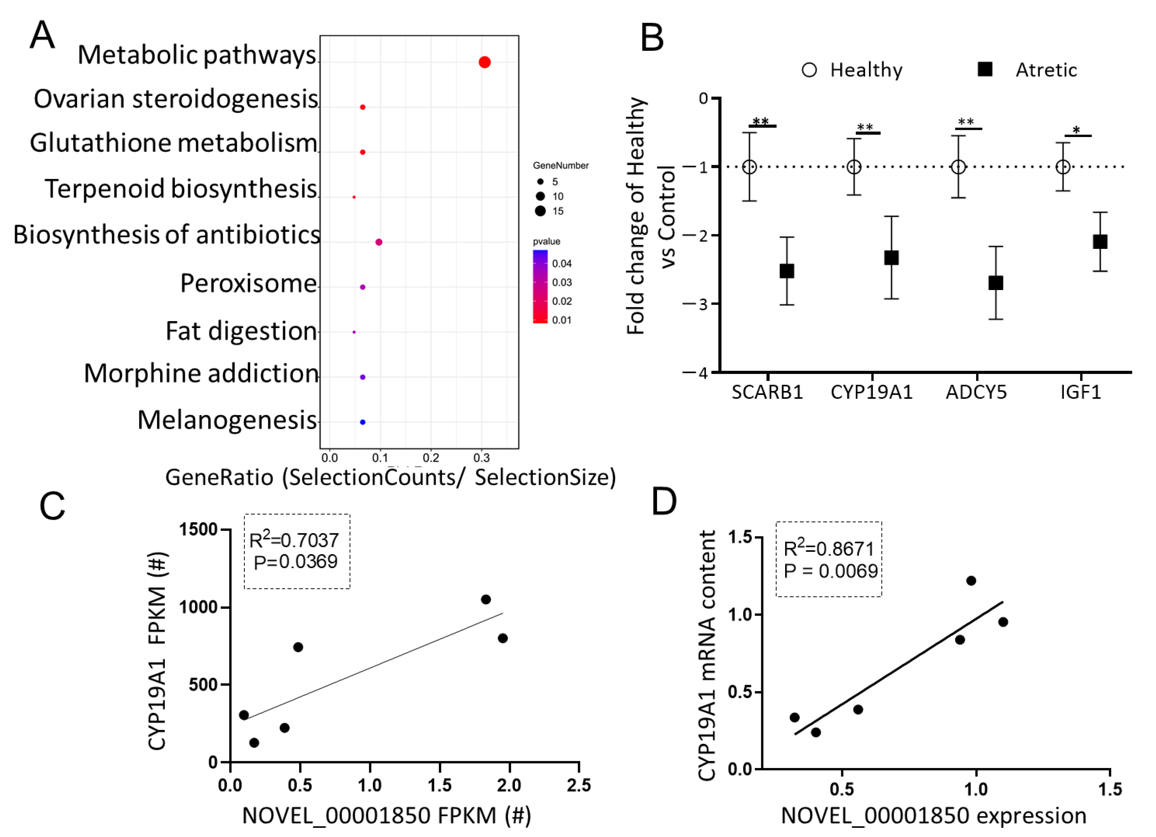 Ijms 22 02677 g005 Ijms 22 02677 g005