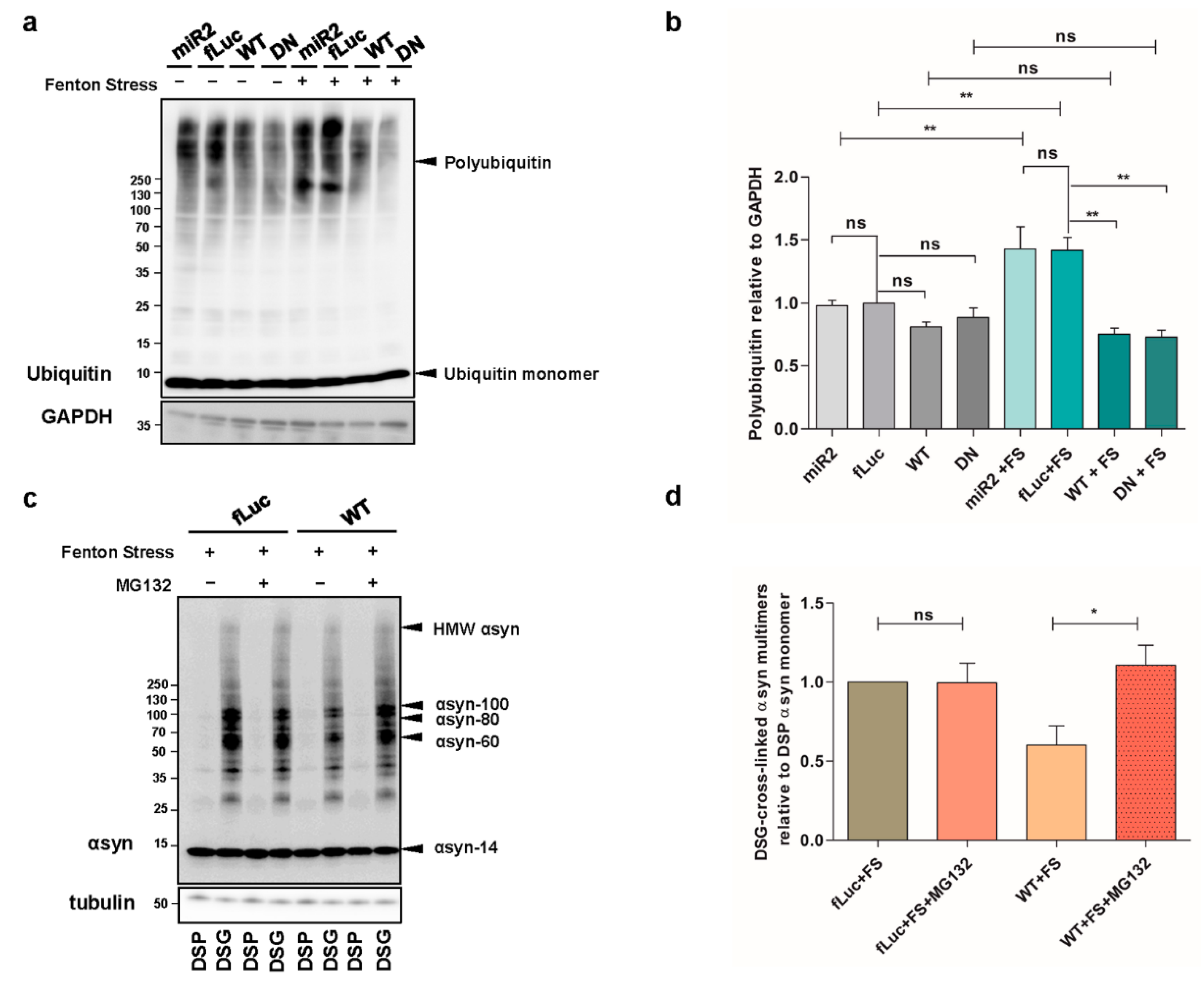 Ijms 22 02689 g004 Ijms 22 02689 g004