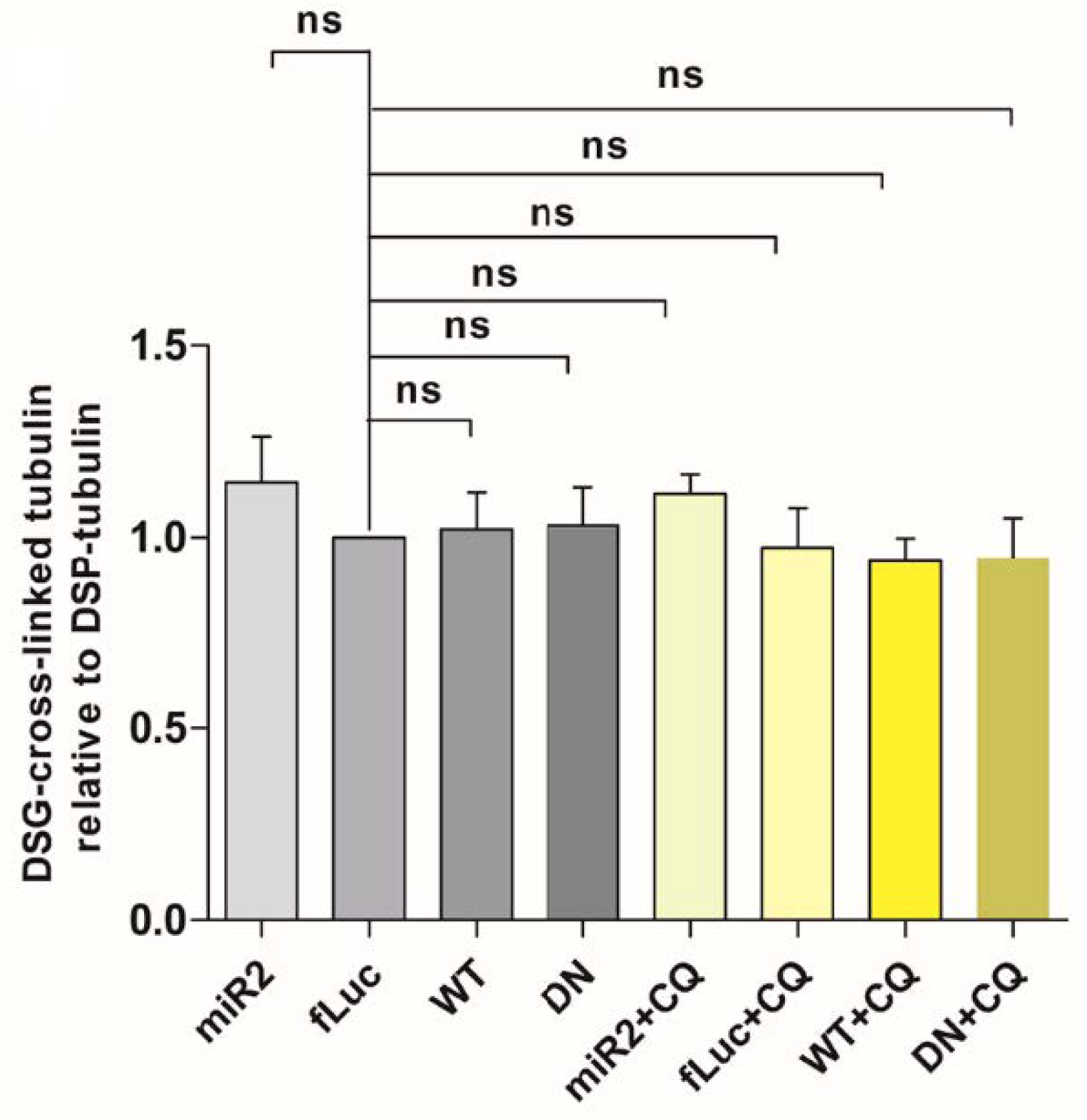 Ijms 22 02689 g0a5 Ijms 22 02689 g0a5