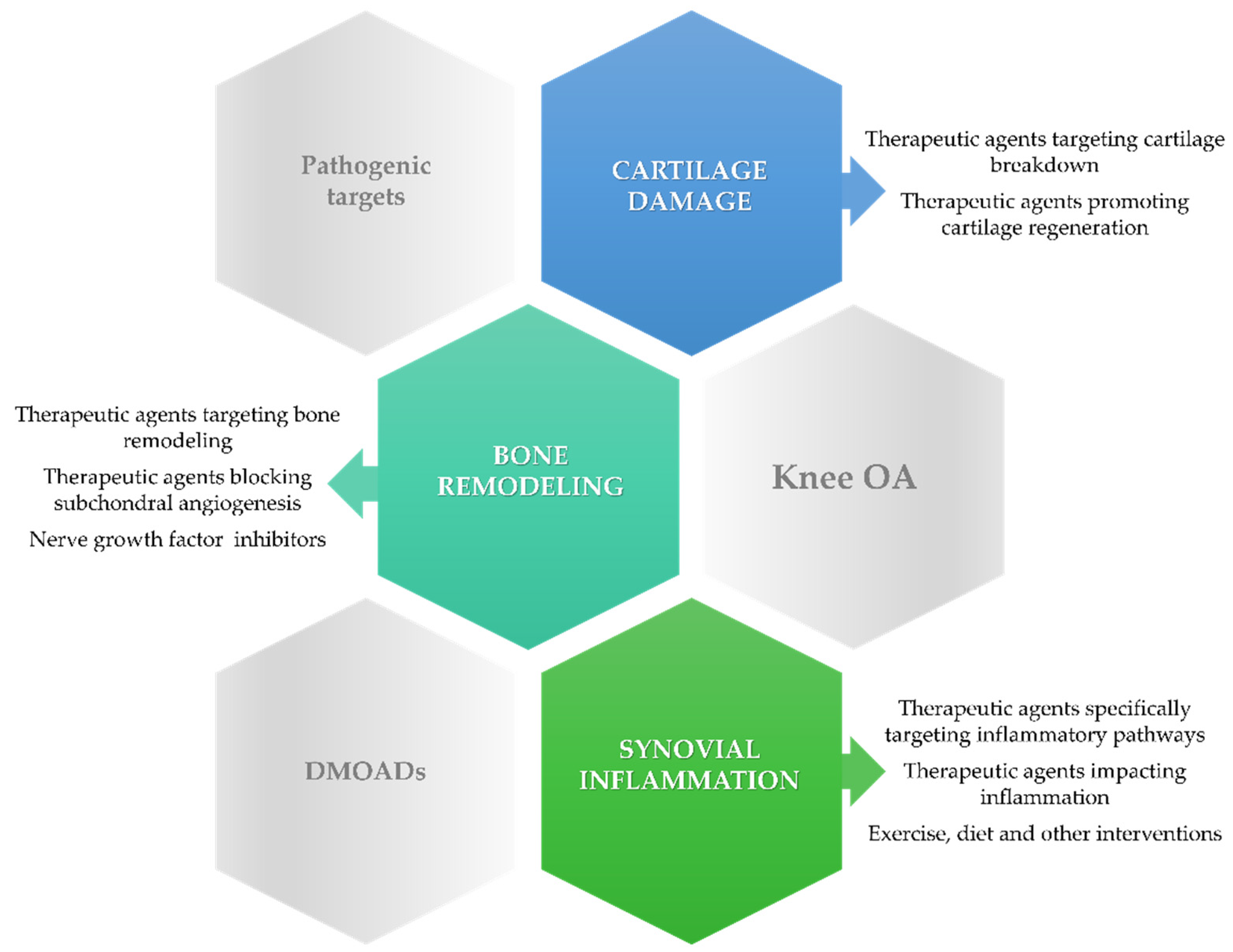 Ijms 22 02697 g001 Ijms 22 02697 g001