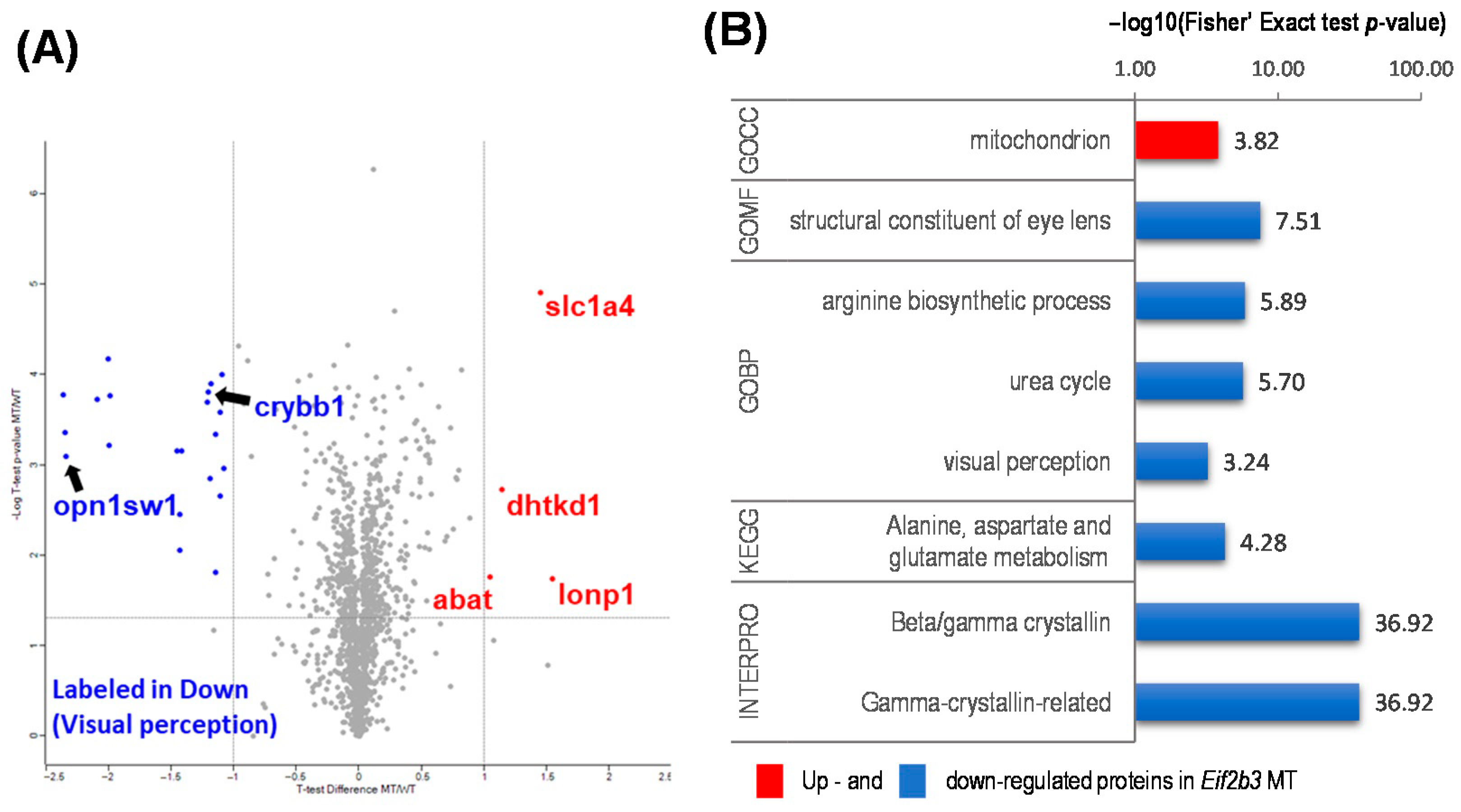 Ijms 22 02707 g003 Ijms 22 02707 g003