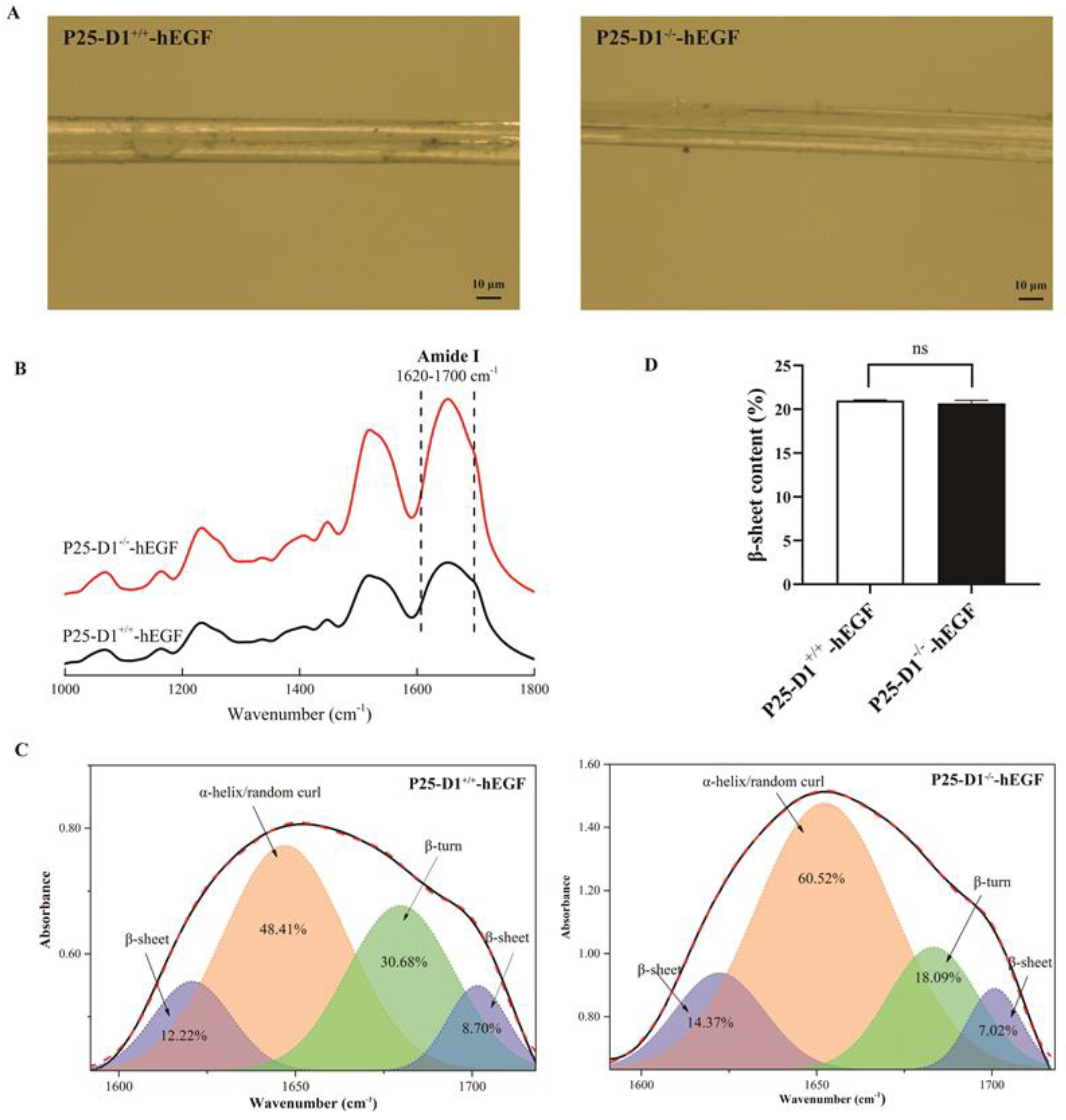 Ijms 22 02709 g007 Ijms 22 02709 g007