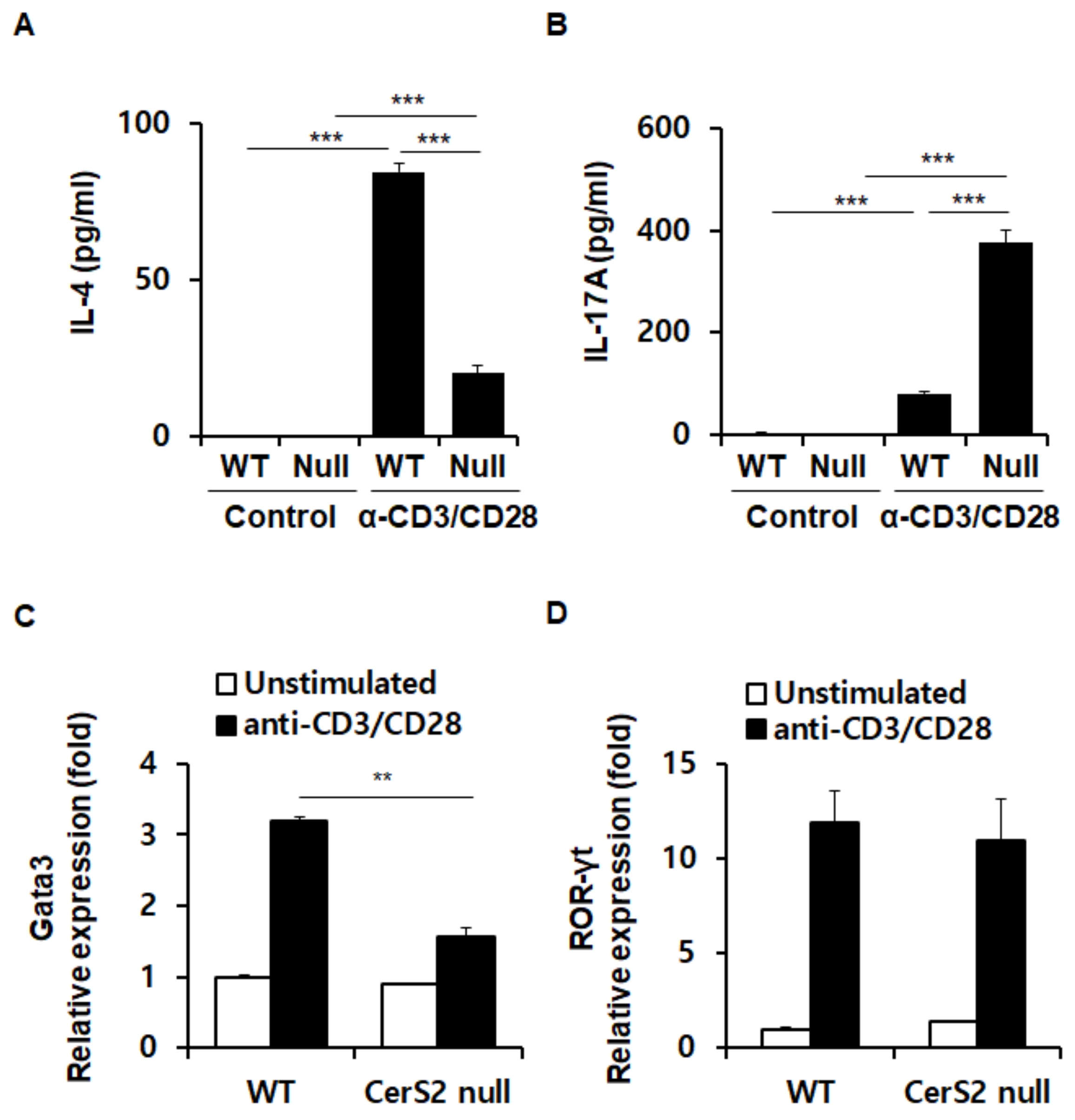 Ijms 22 02713 g003 Ijms 22 02713 g003