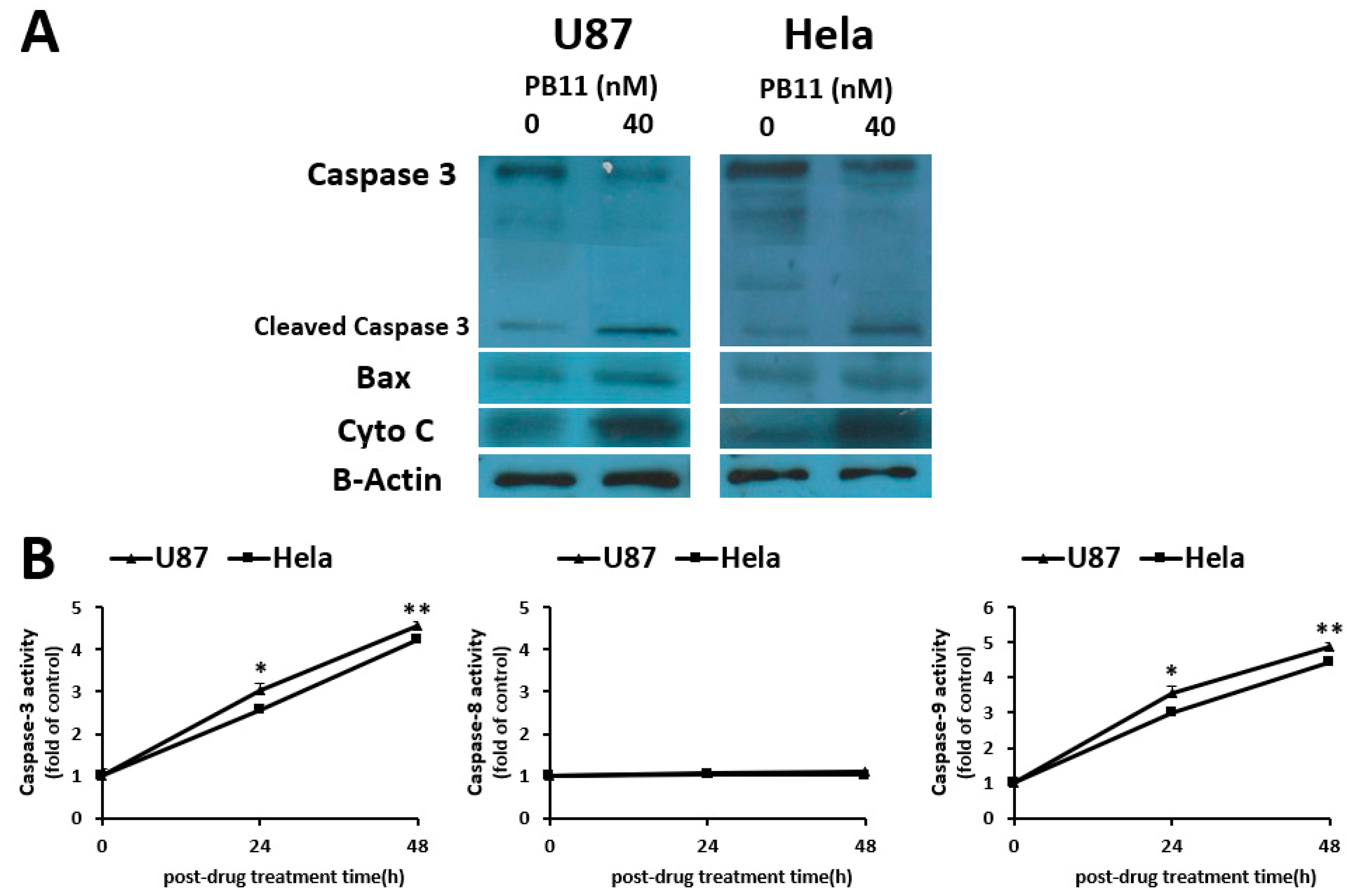 Ijms 22 02718 g004 Ijms 22 02718 g004