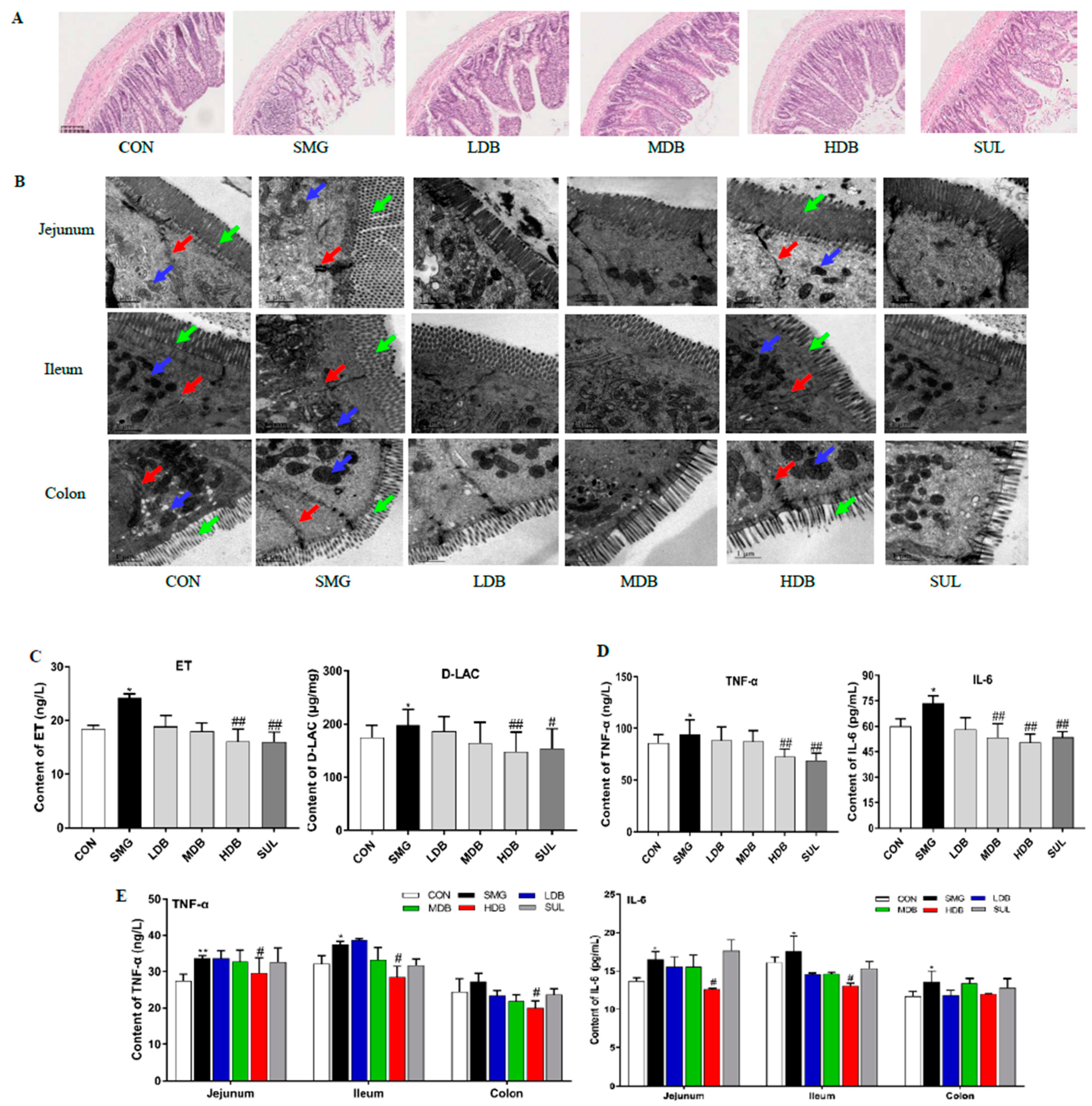 Ijms 22 02722 g001 Ijms 22 02722 g001
