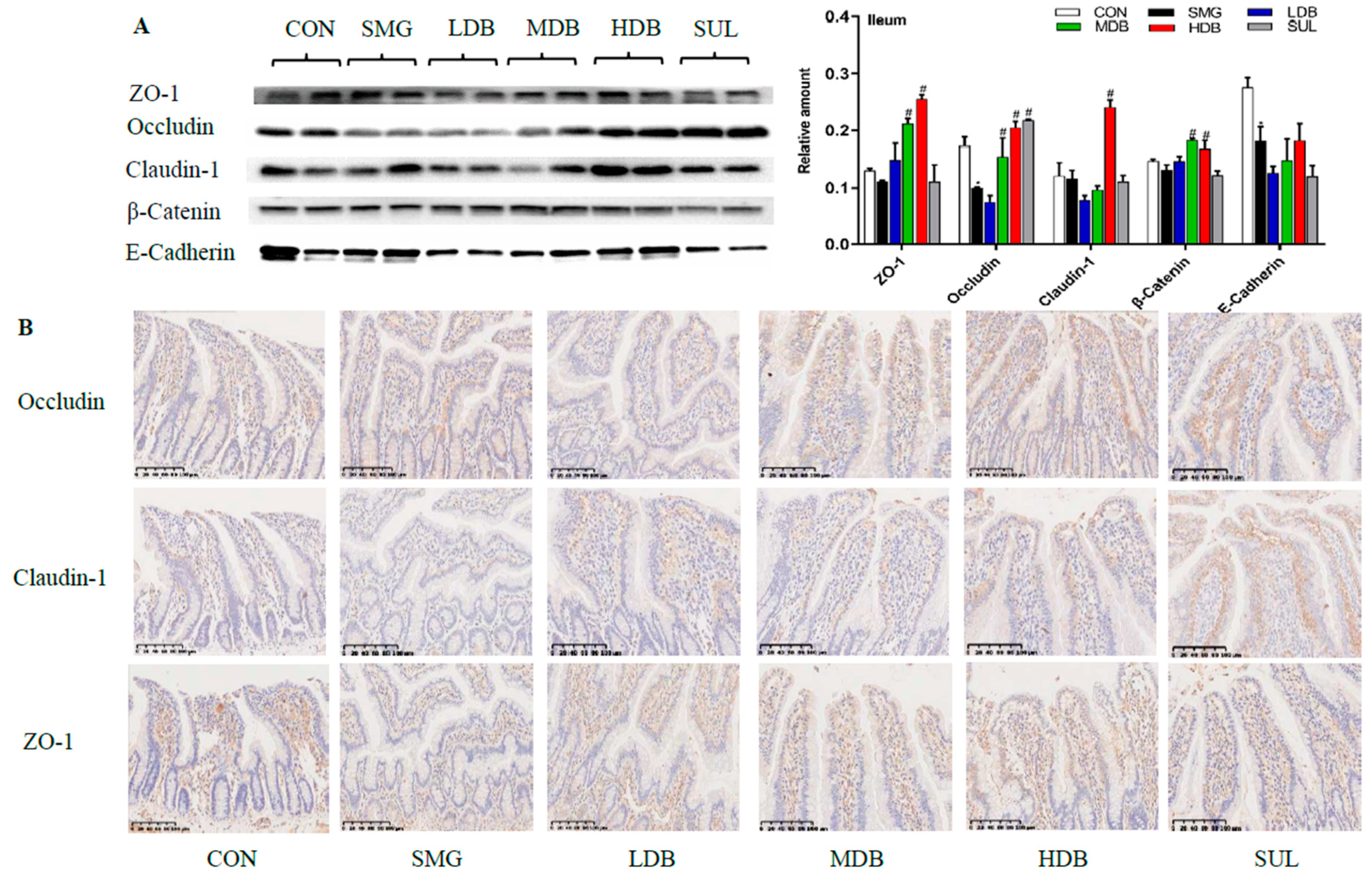 Ijms 22 02722 g002 Ijms 22 02722 g002