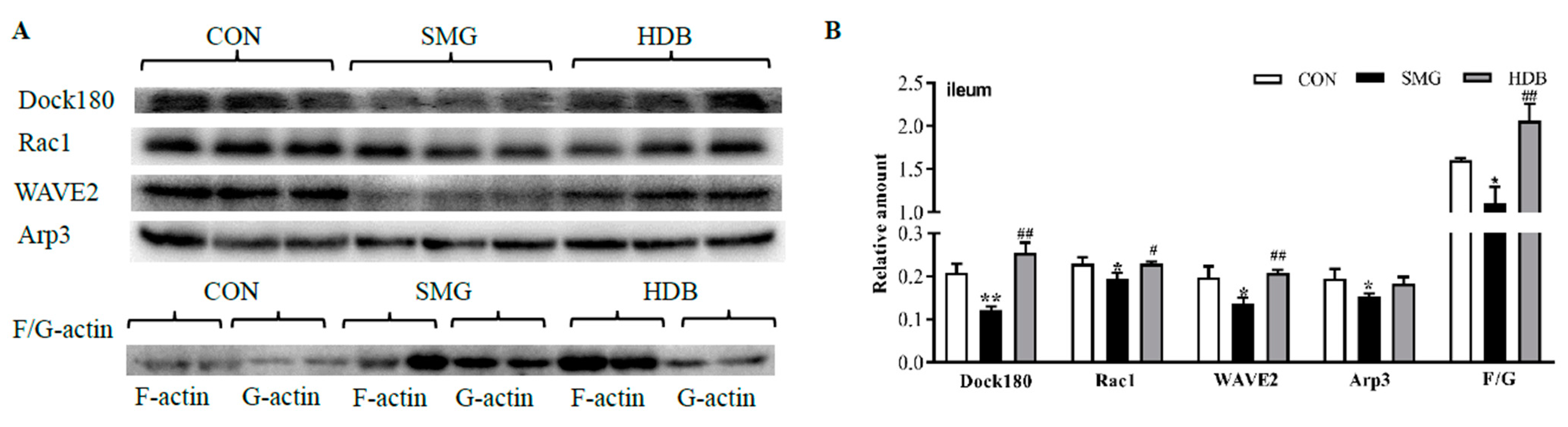 Ijms 22 02722 g004 Ijms 22 02722 g004