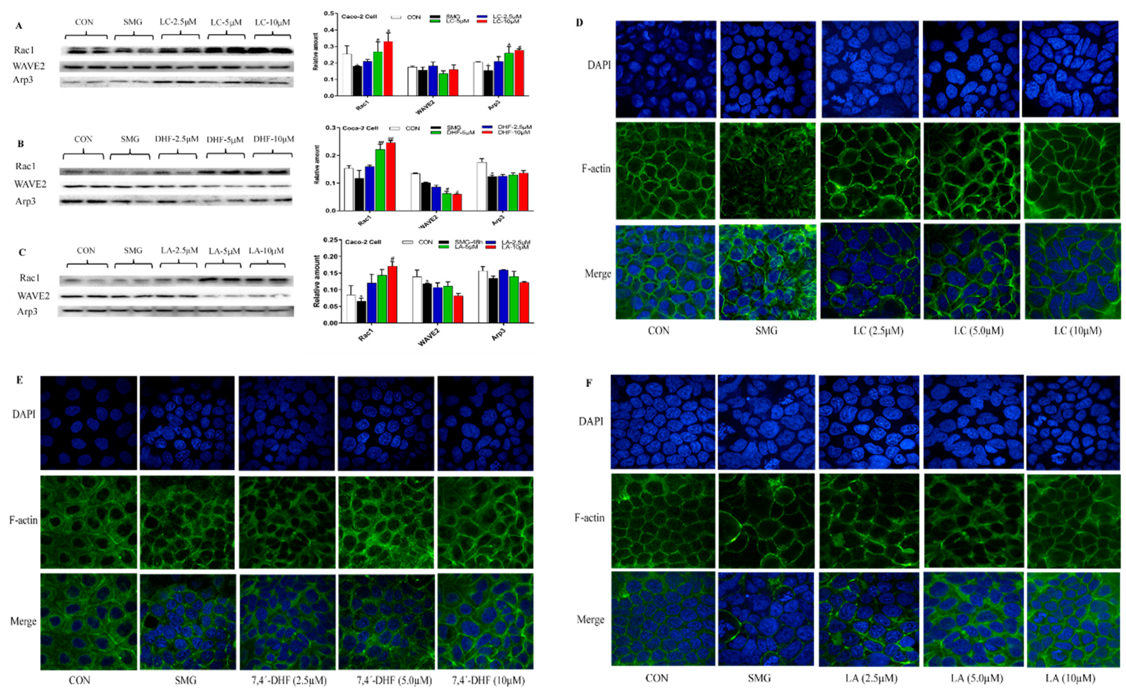 Ijms 22 02722 g005 Ijms 22 02722 g005