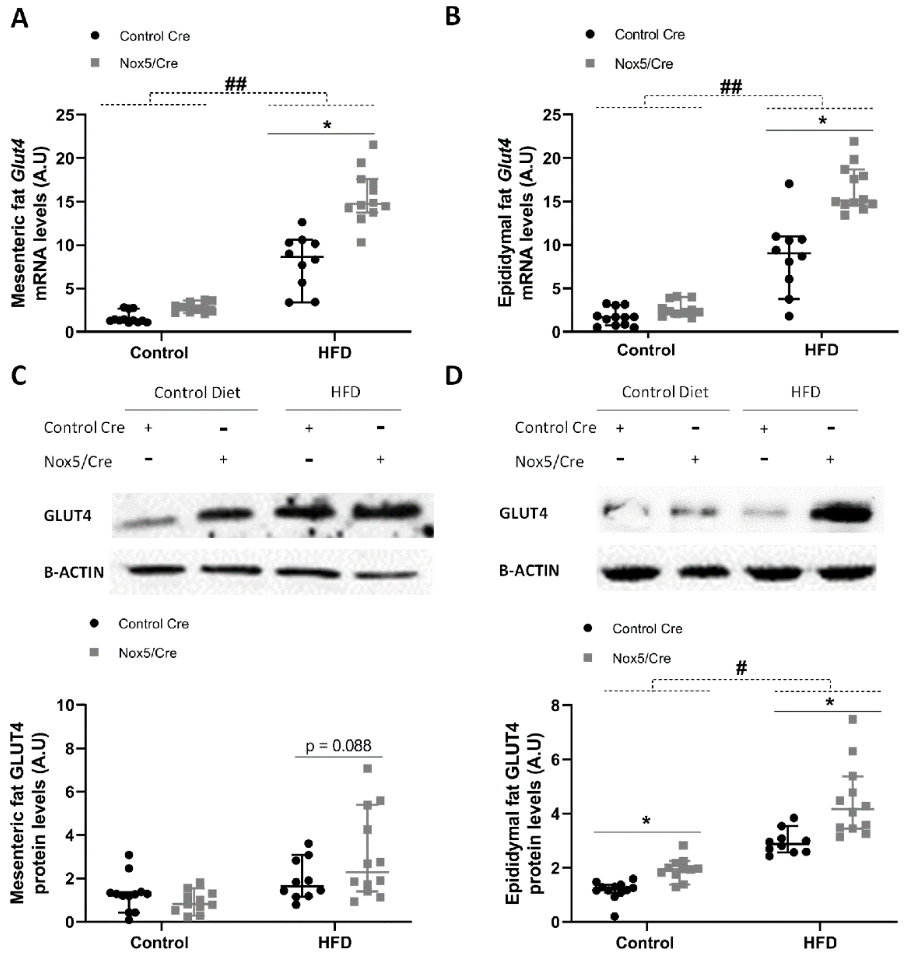 Ijms 22 02729 g003 Ijms 22 02729 g003