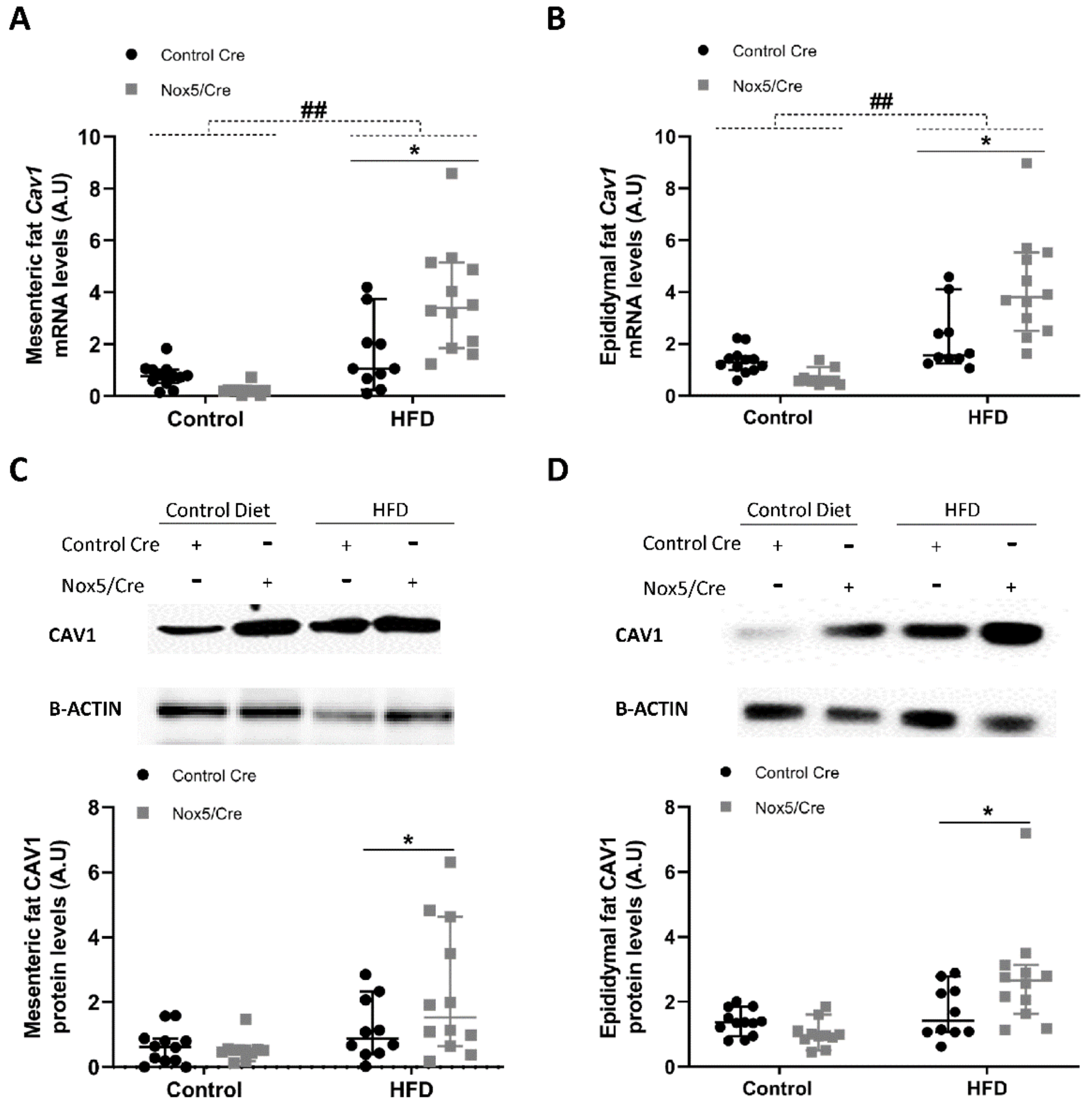 Ijms 22 02729 g005 Ijms 22 02729 g005