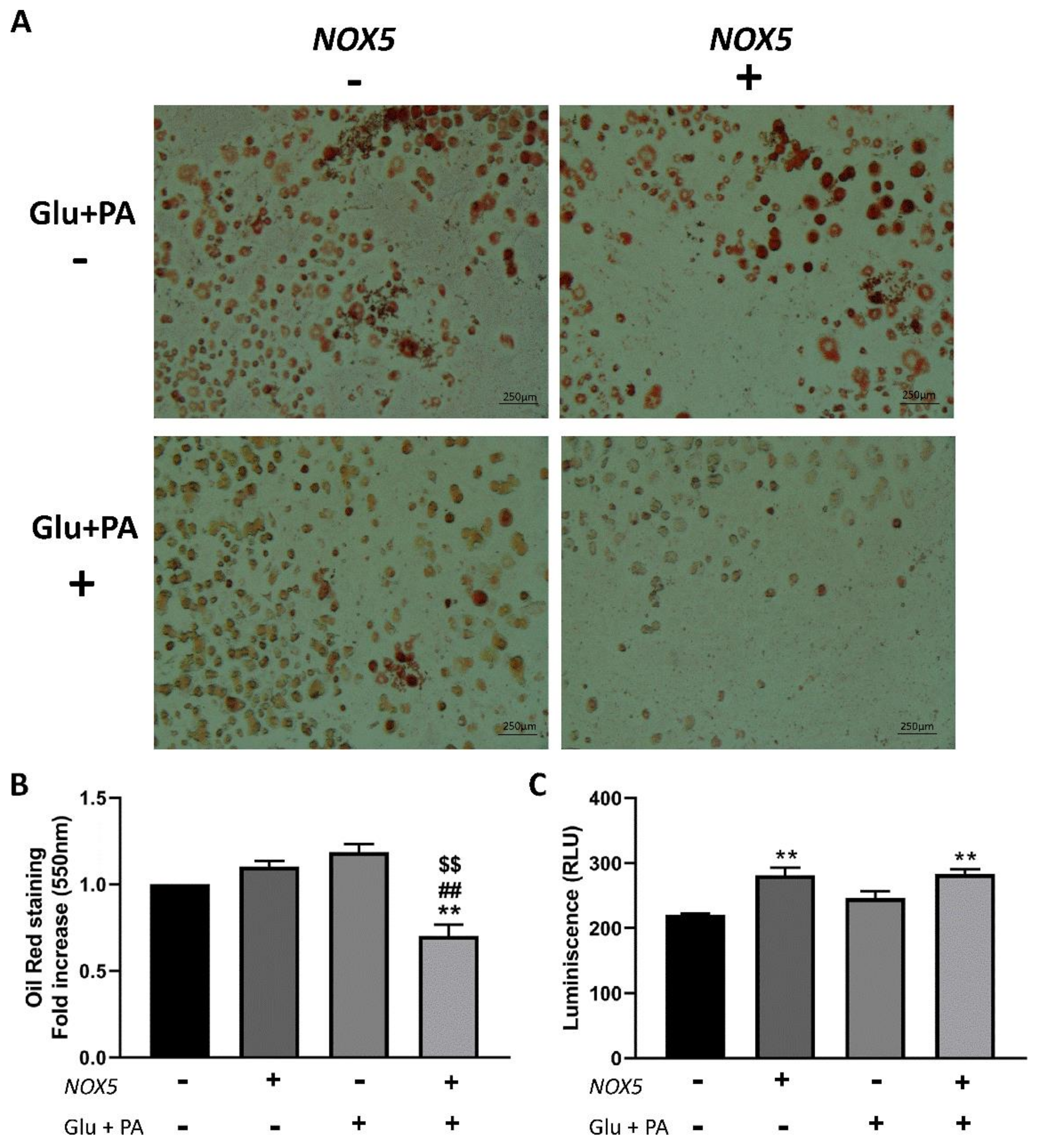 Ijms 22 02729 g006 Ijms 22 02729 g006