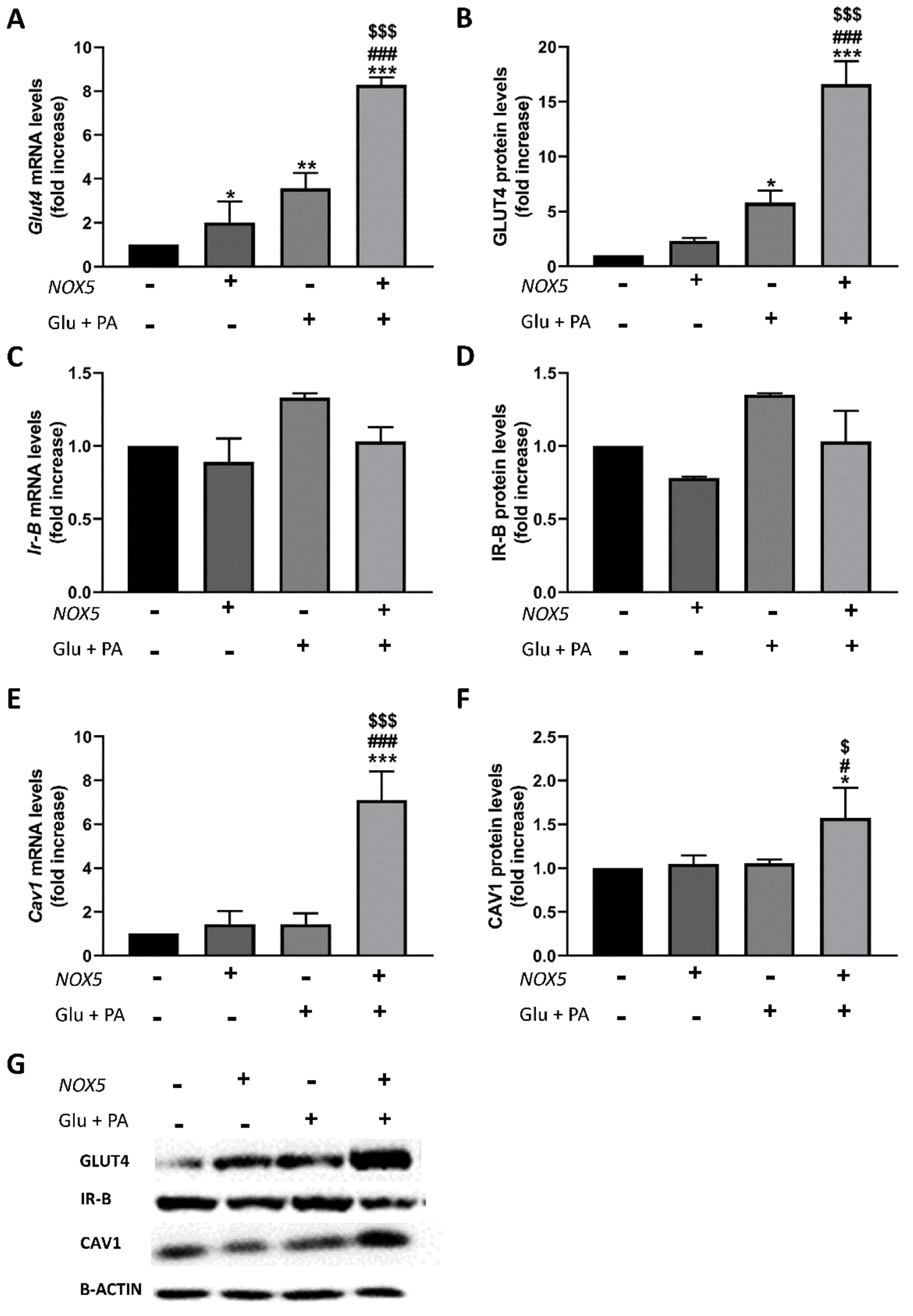 Ijms 22 02729 g007 Ijms 22 02729 g007
