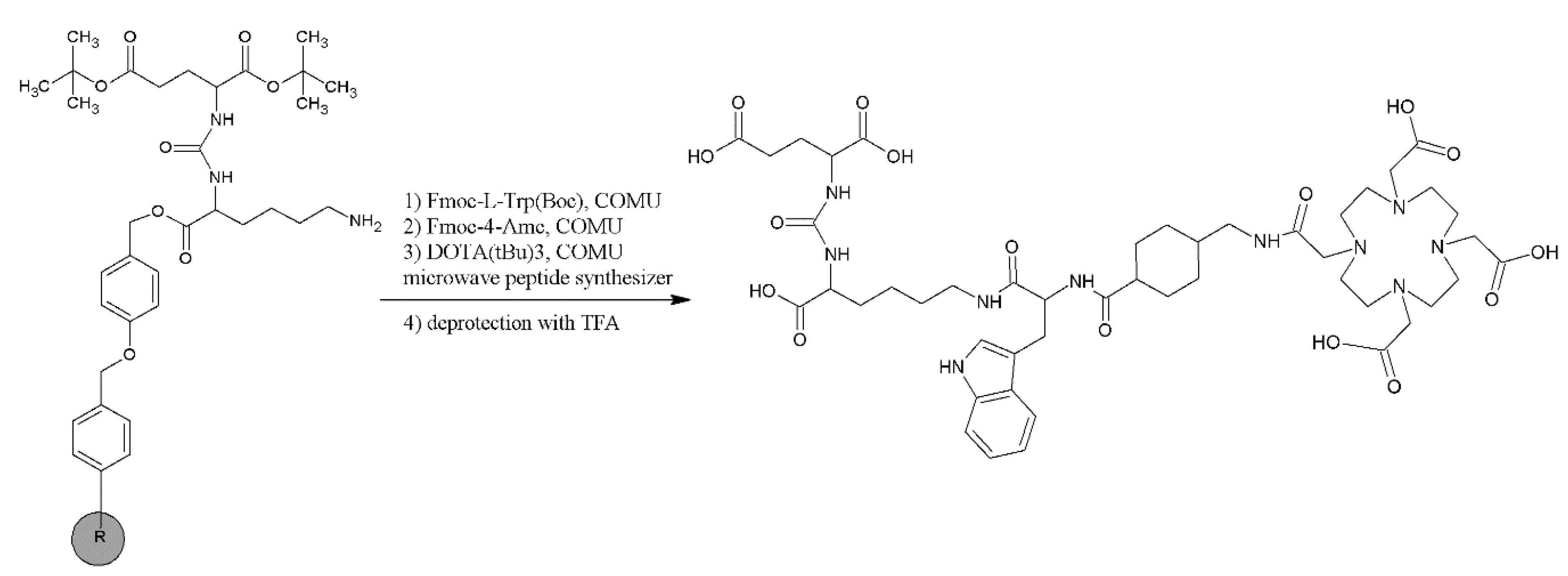 ijms free full text psma d4 radioligand for targeted therapy of prostate cancer synthesis characteristics and preliminary assessment of biological properties html