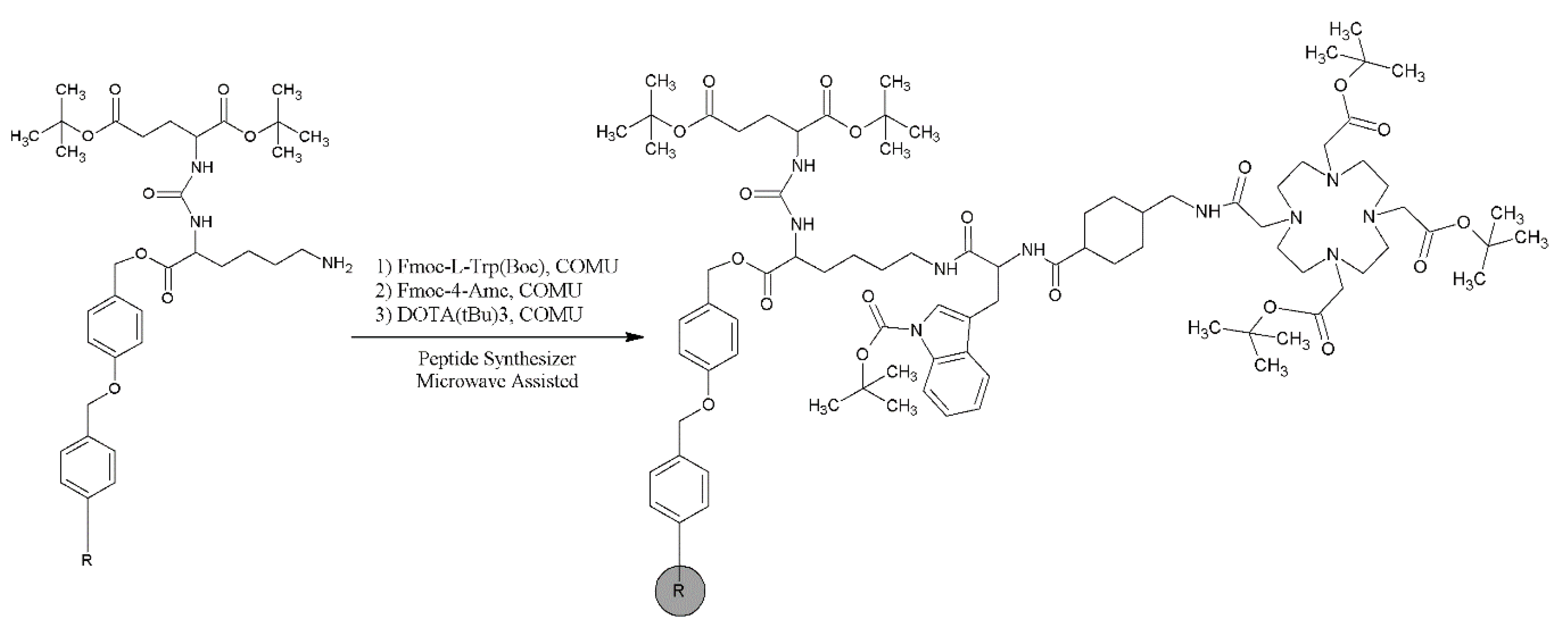 Ijms 22 02731 sch0a2