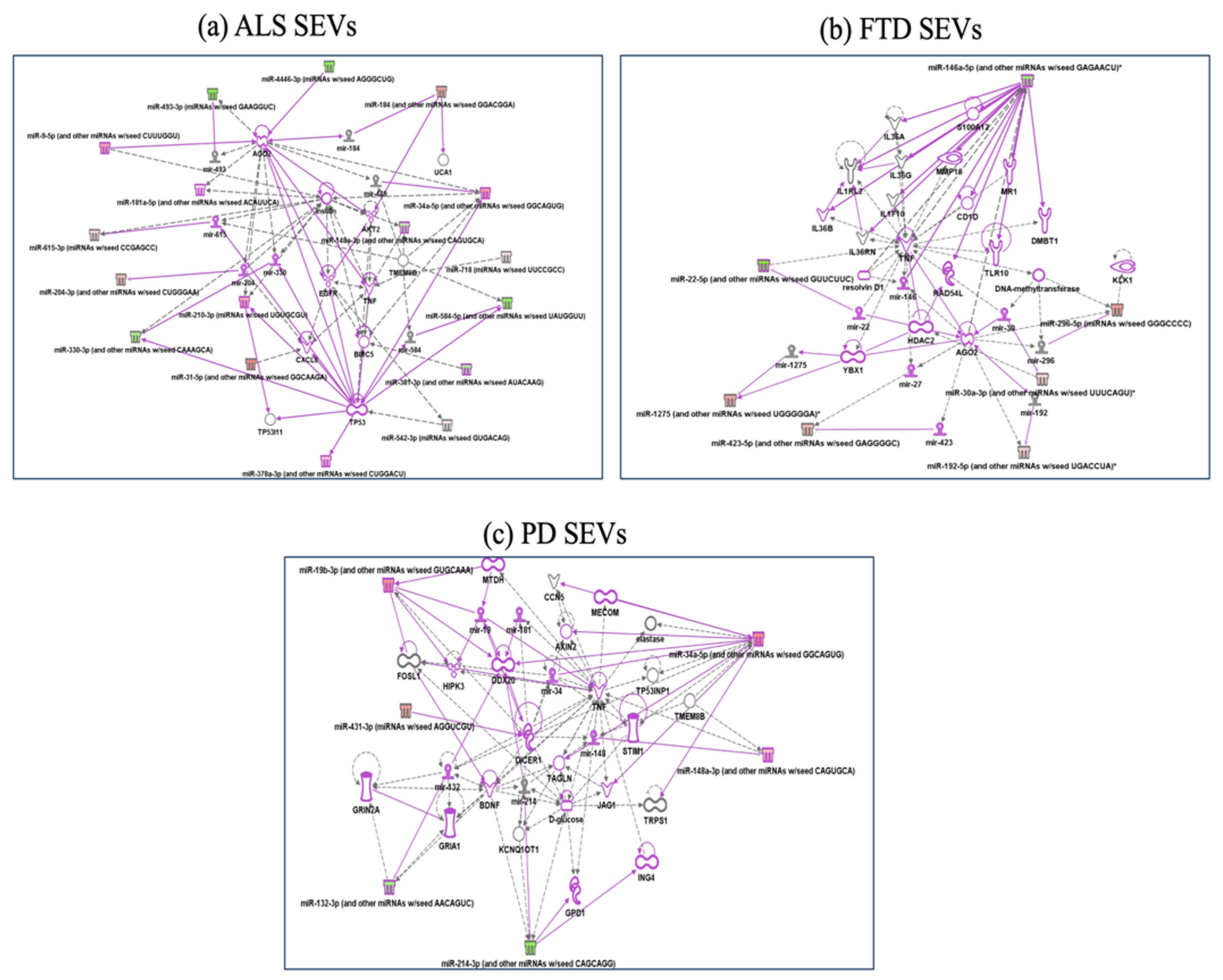 Ijms 22 02737 g004 Ijms 22 02737 g004