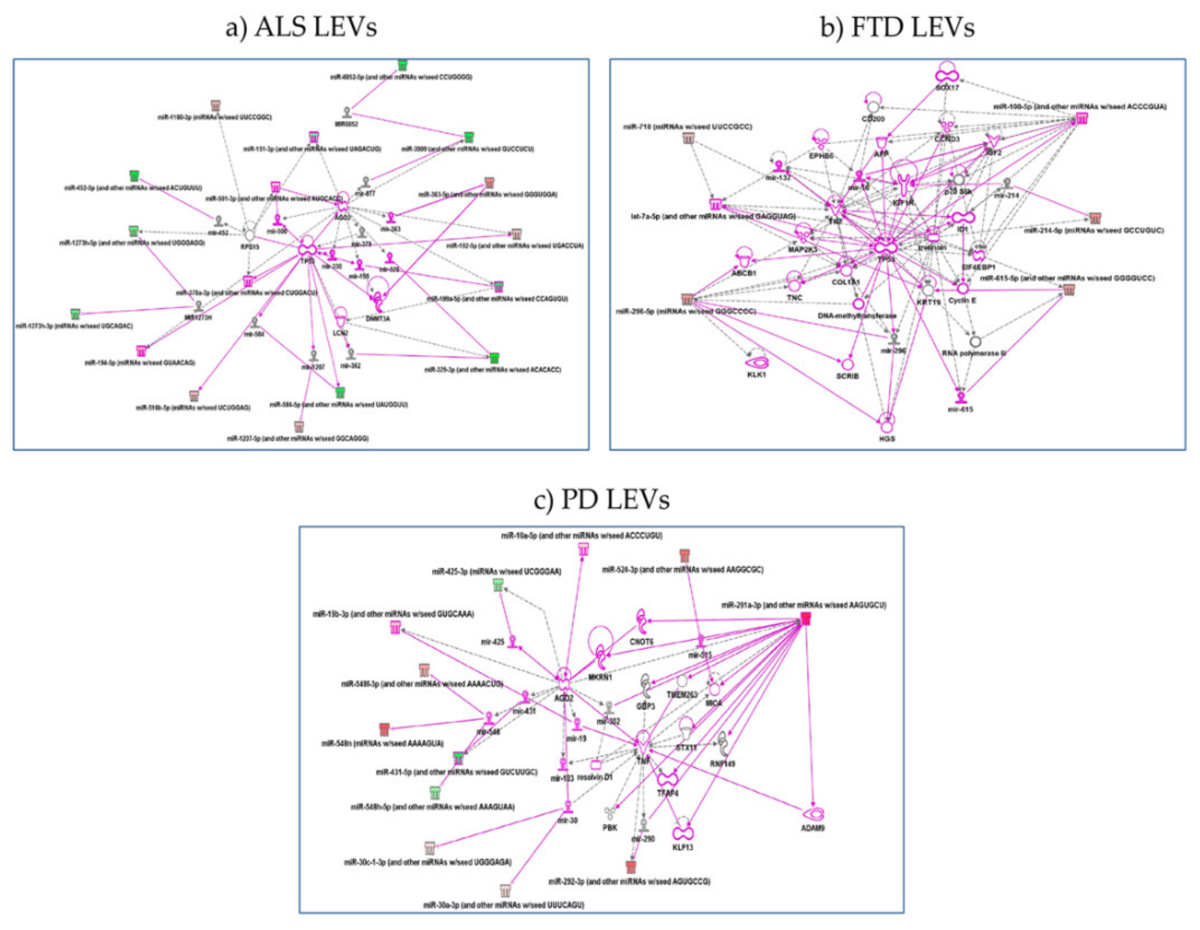 Ijms 22 02737 g005 Ijms 22 02737 g005