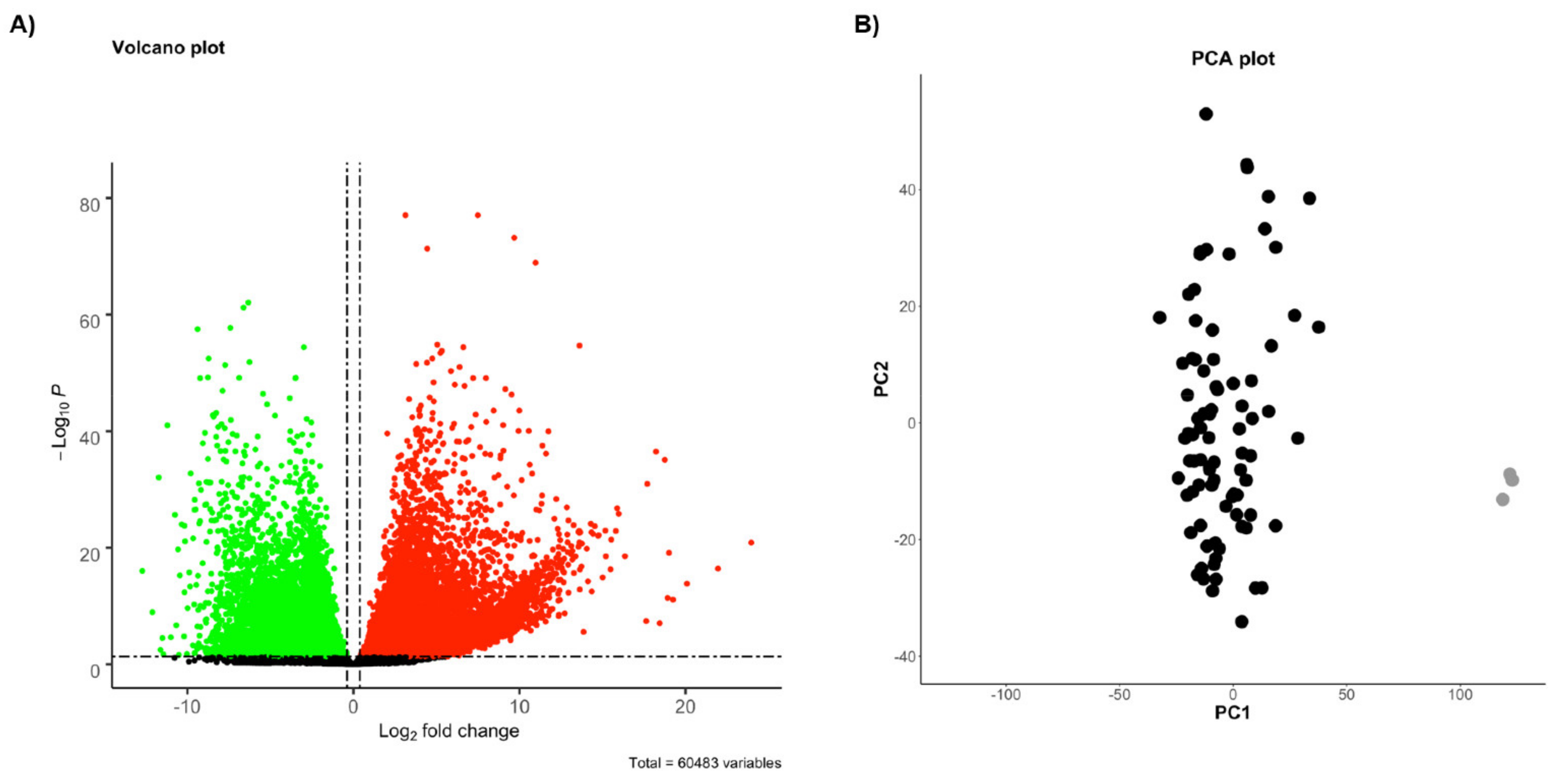 Ijms 22 02738 g002 Ijms 22 02738 g002