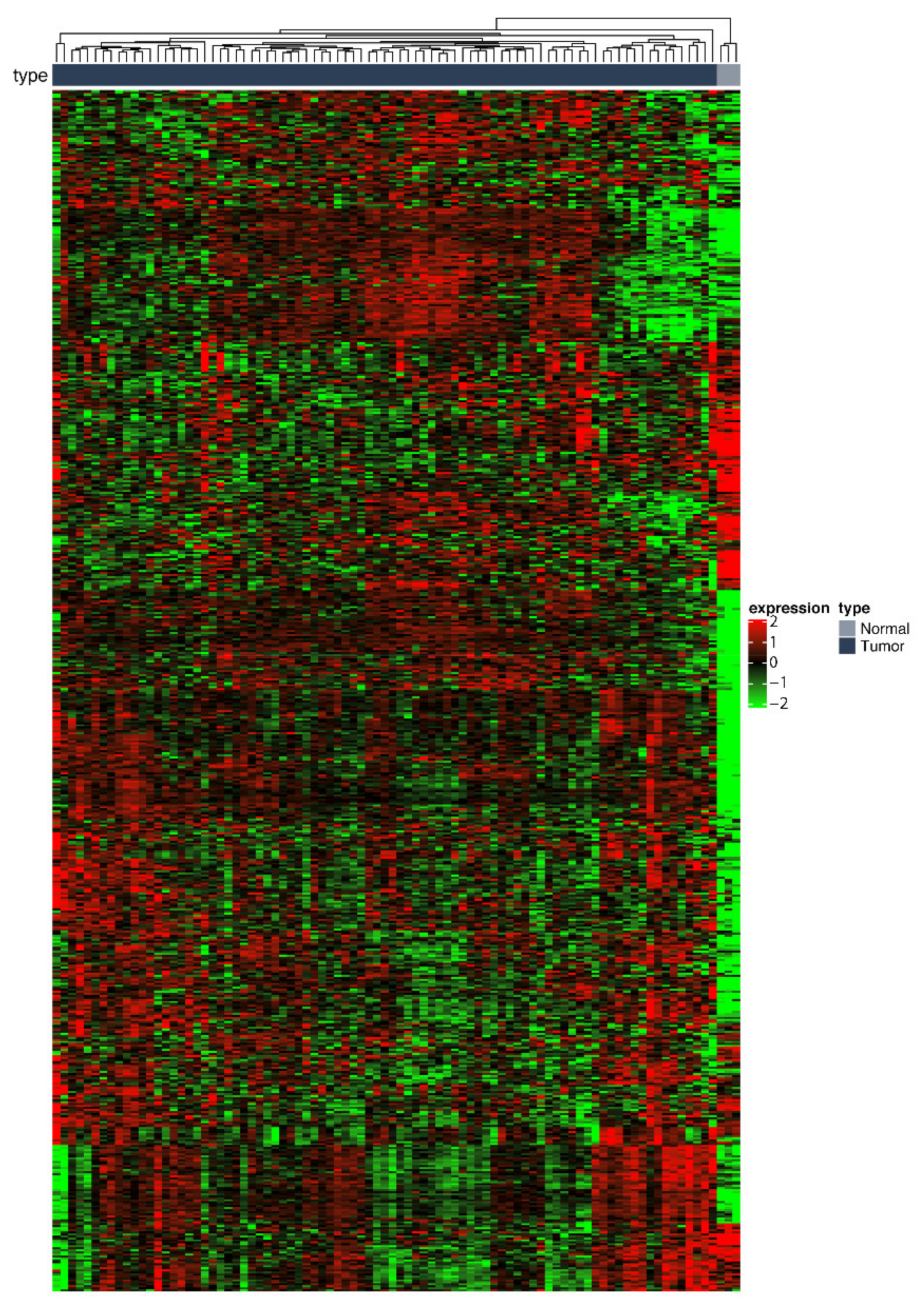 Ijms 22 02738 g003 Ijms 22 02738 g003