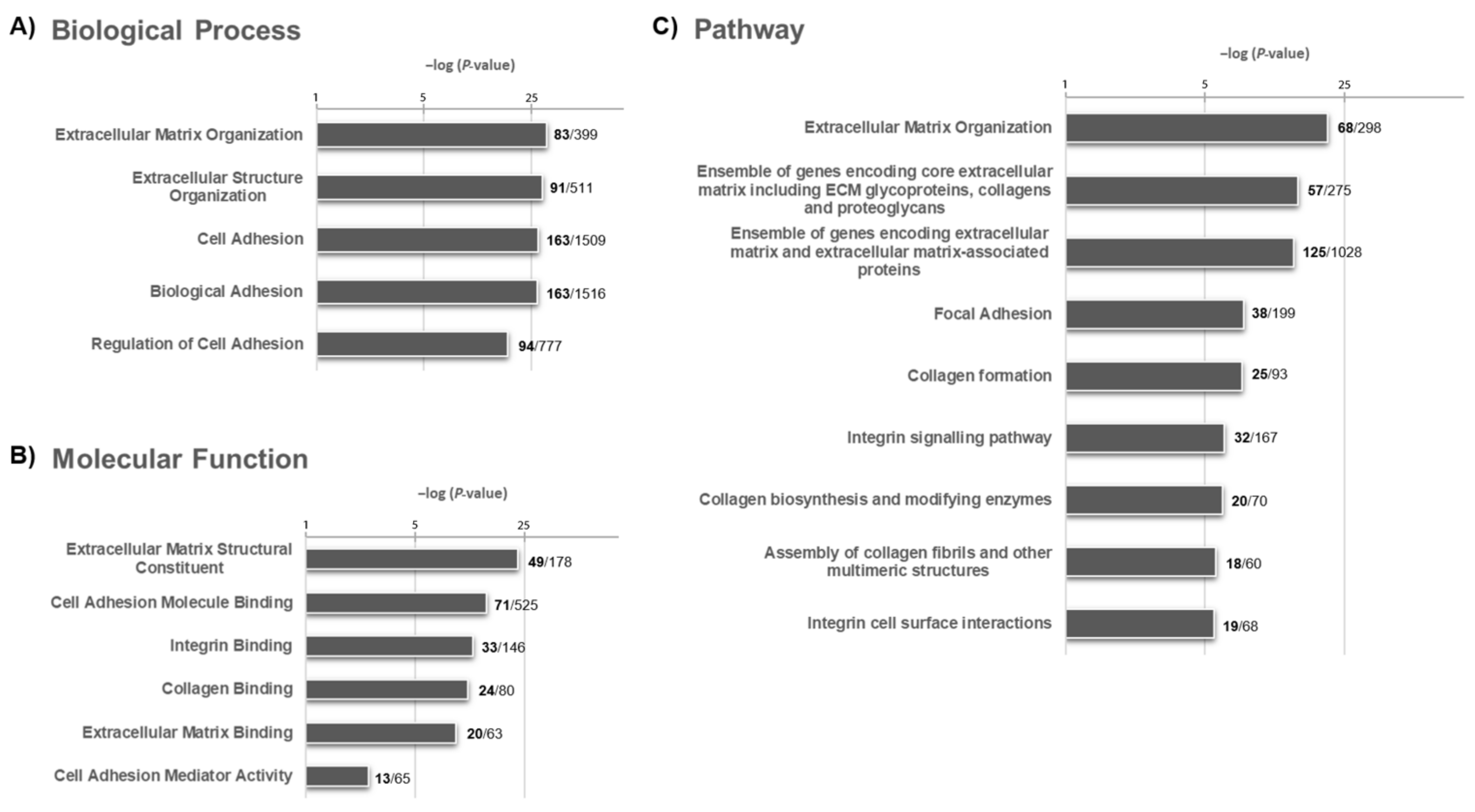 Ijms 22 02738 g004 Ijms 22 02738 g004