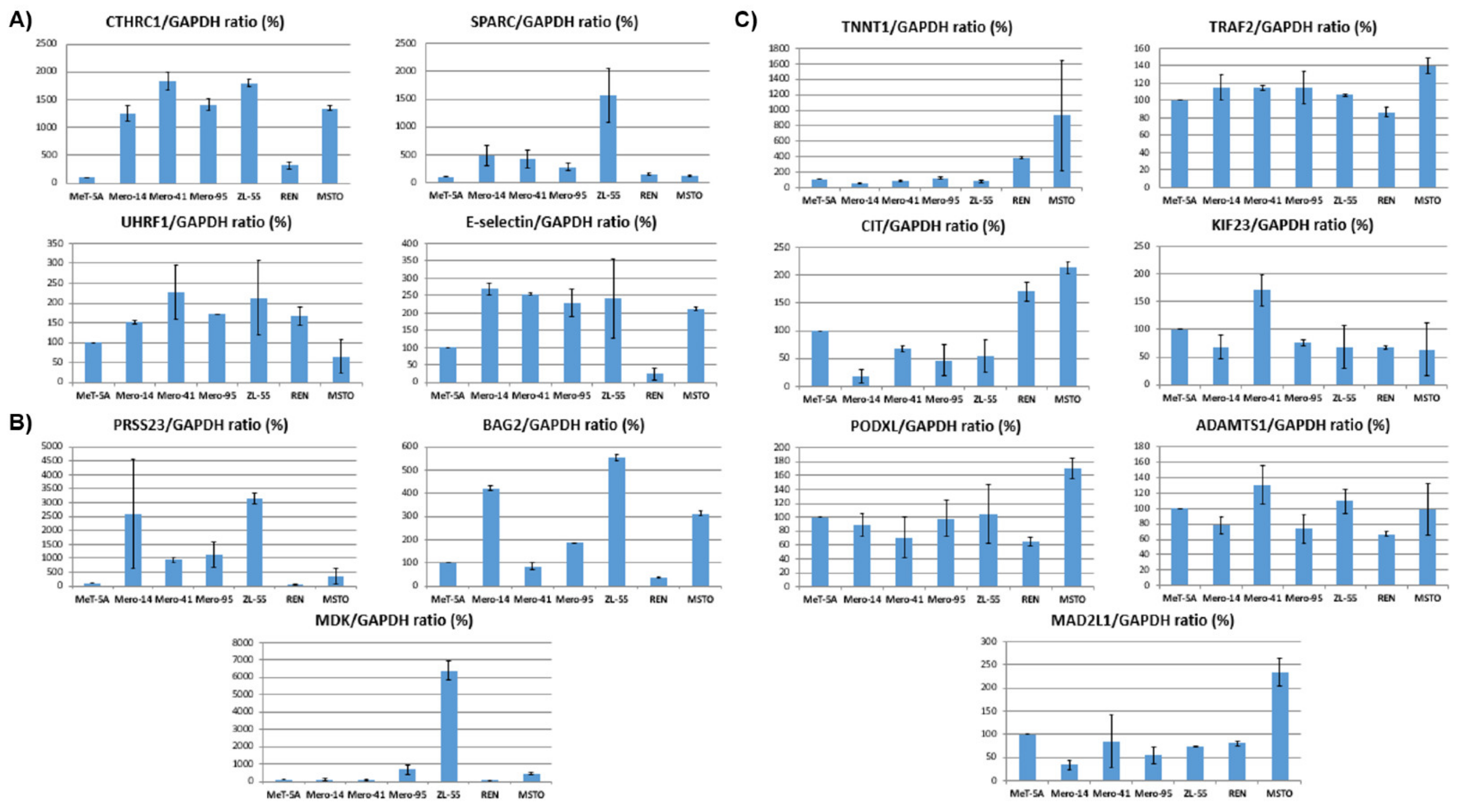 Ijms 22 02738 g007 Ijms 22 02738 g007