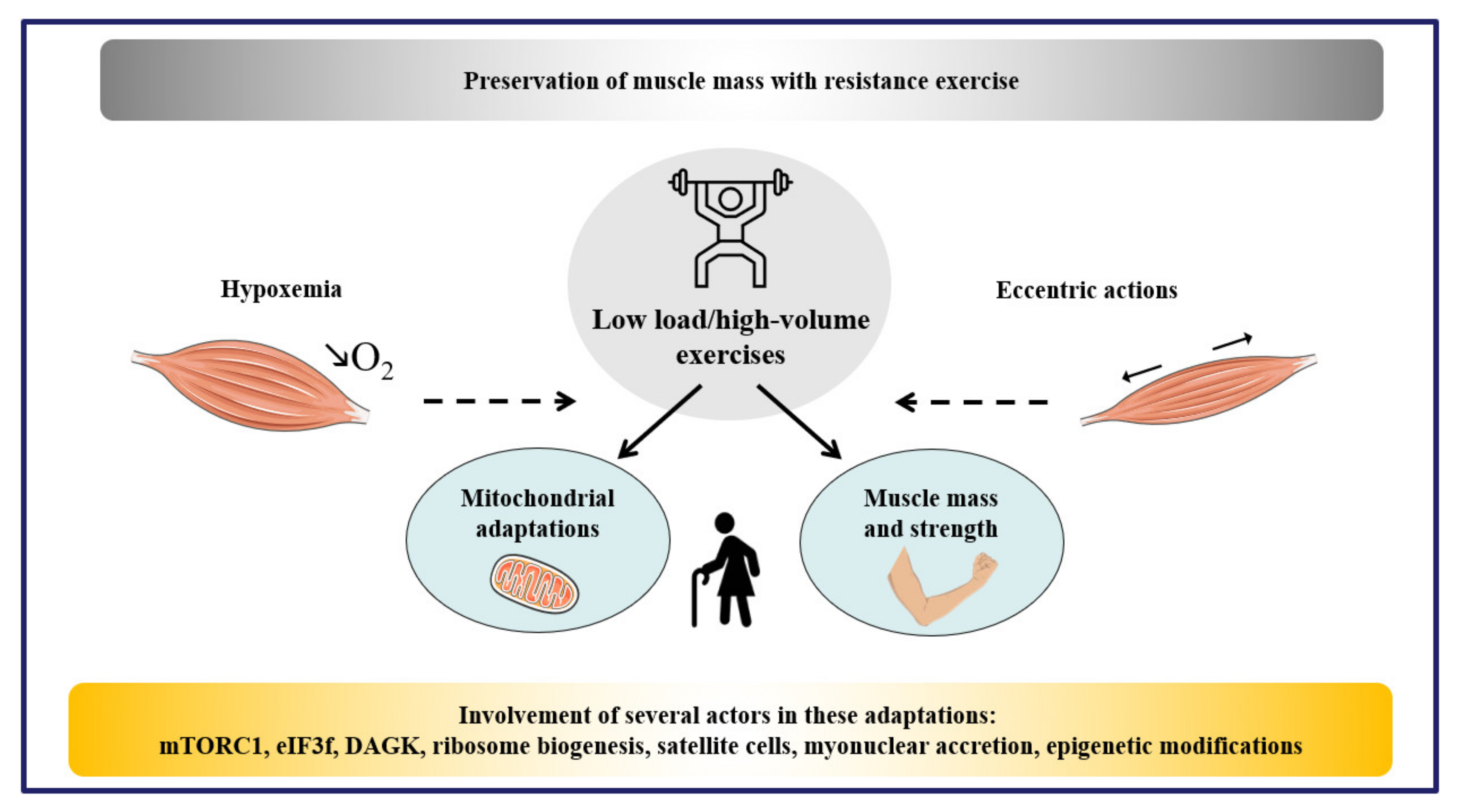Ijms 22 02741 g005 Ijms 22 02741 g005