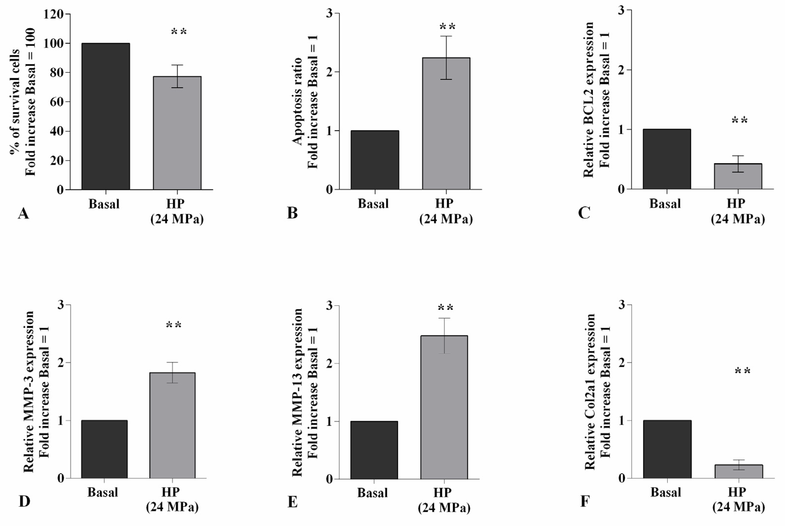 Ijms 22 02745 g001 Ijms 22 02745 g001