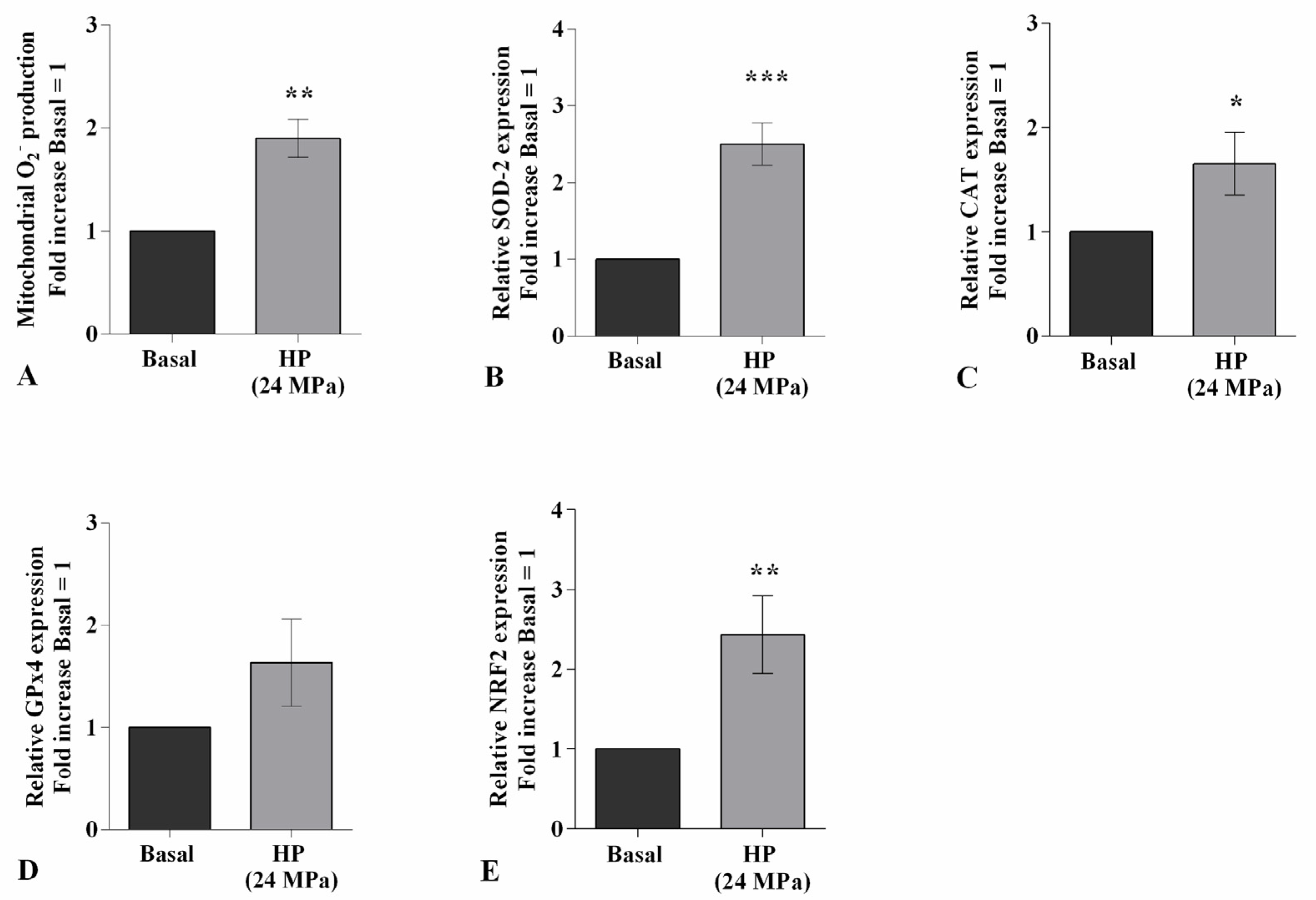Ijms 22 02745 g002 Ijms 22 02745 g002