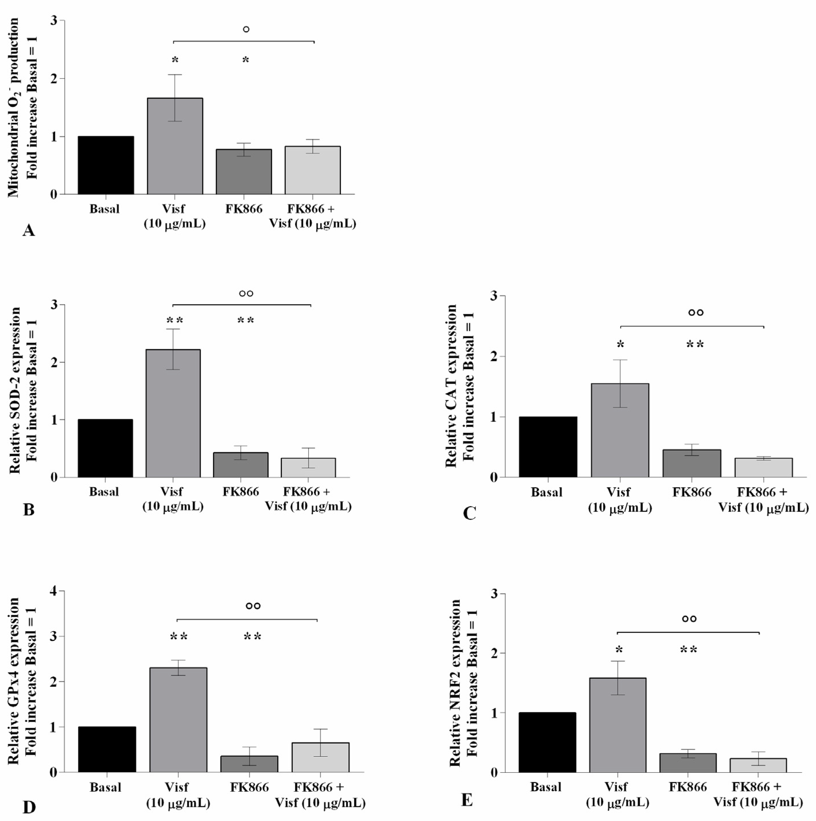 Ijms 22 02745 g005 Ijms 22 02745 g005