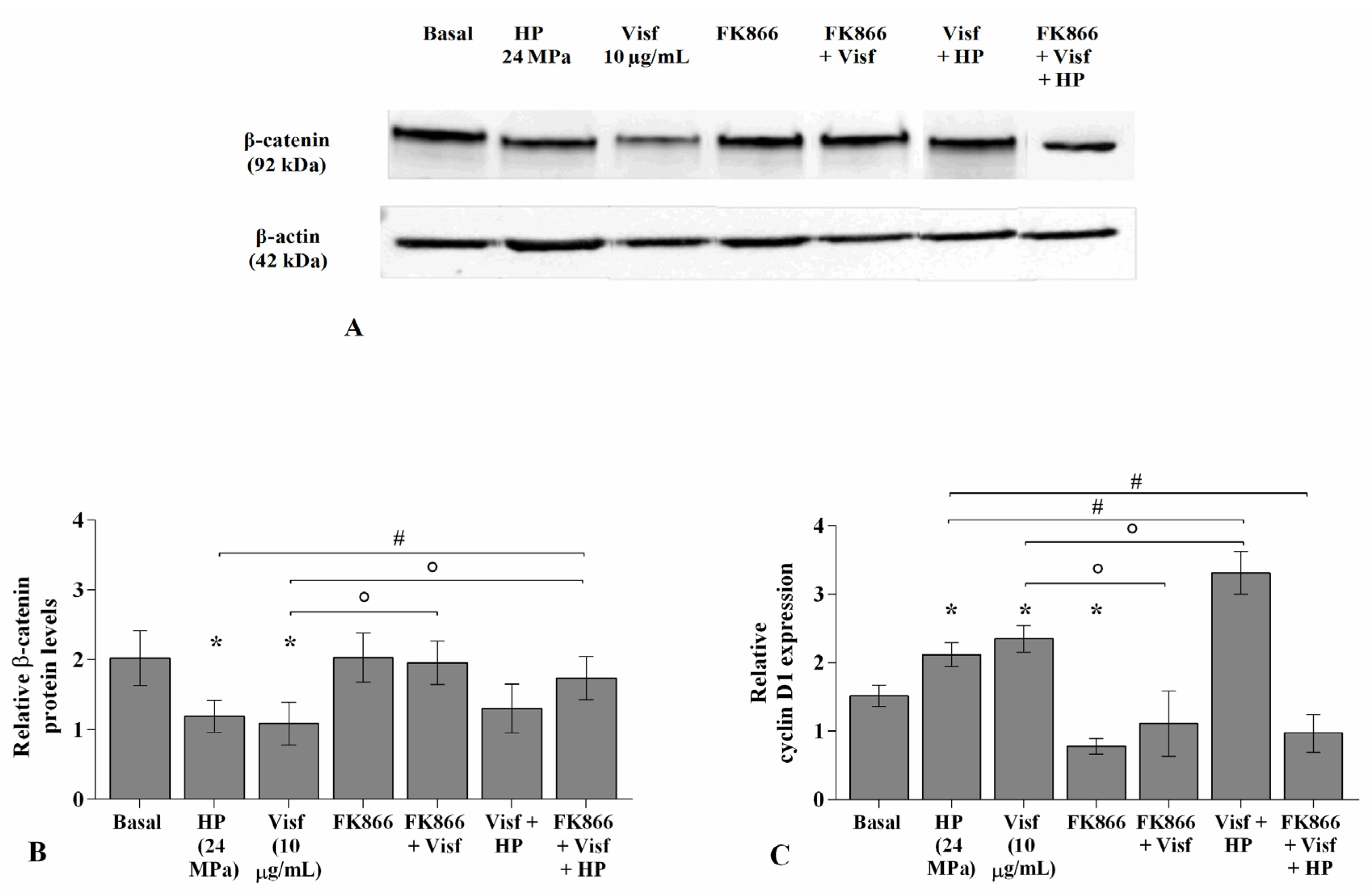 Ijms 22 02745 g010 Ijms 22 02745 g010