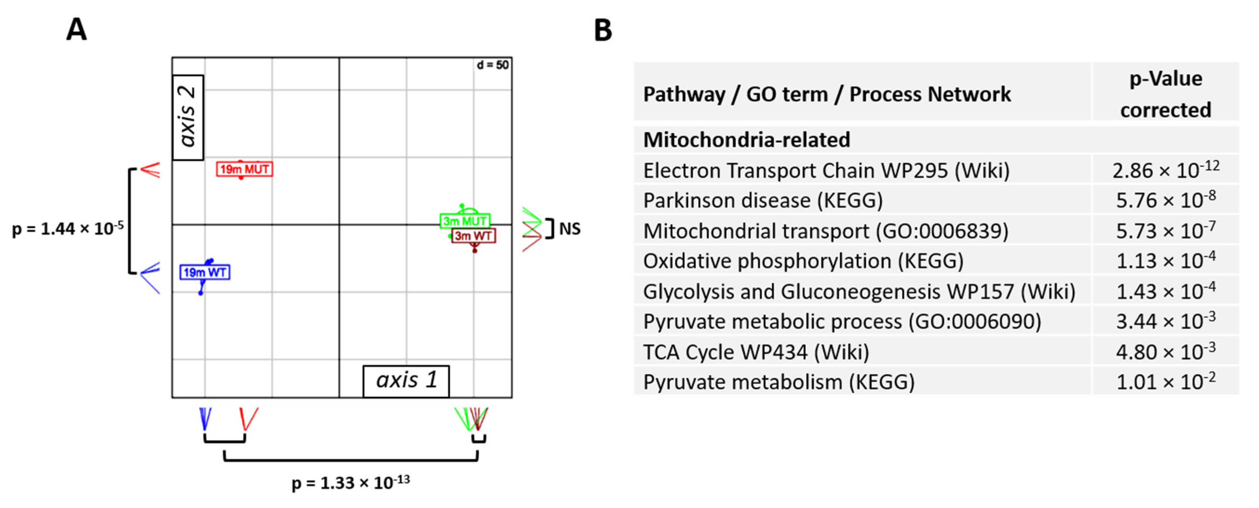 Ijms 22 02746 g001 Ijms 22 02746 g001