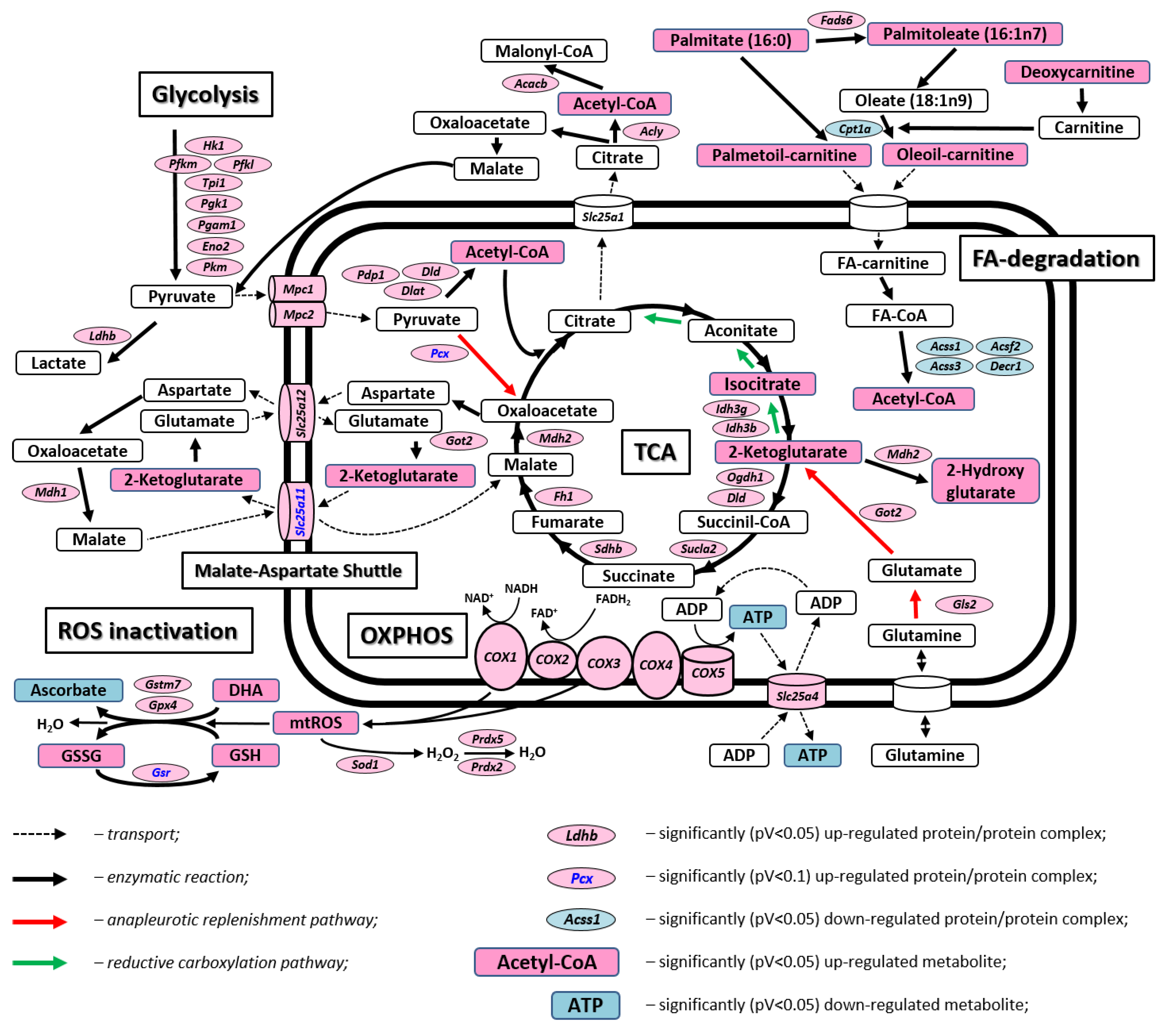 Ijms 22 02746 g003 Ijms 22 02746 g003