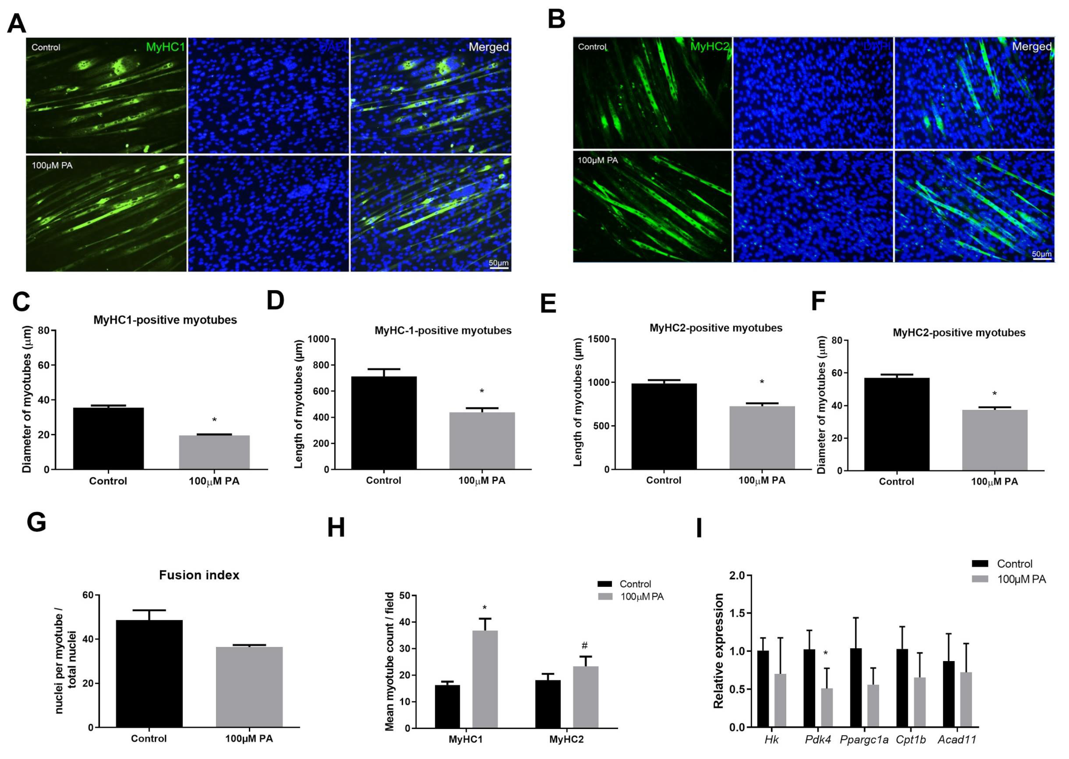 Ijms 22 02748 g002 Ijms 22 02748 g002