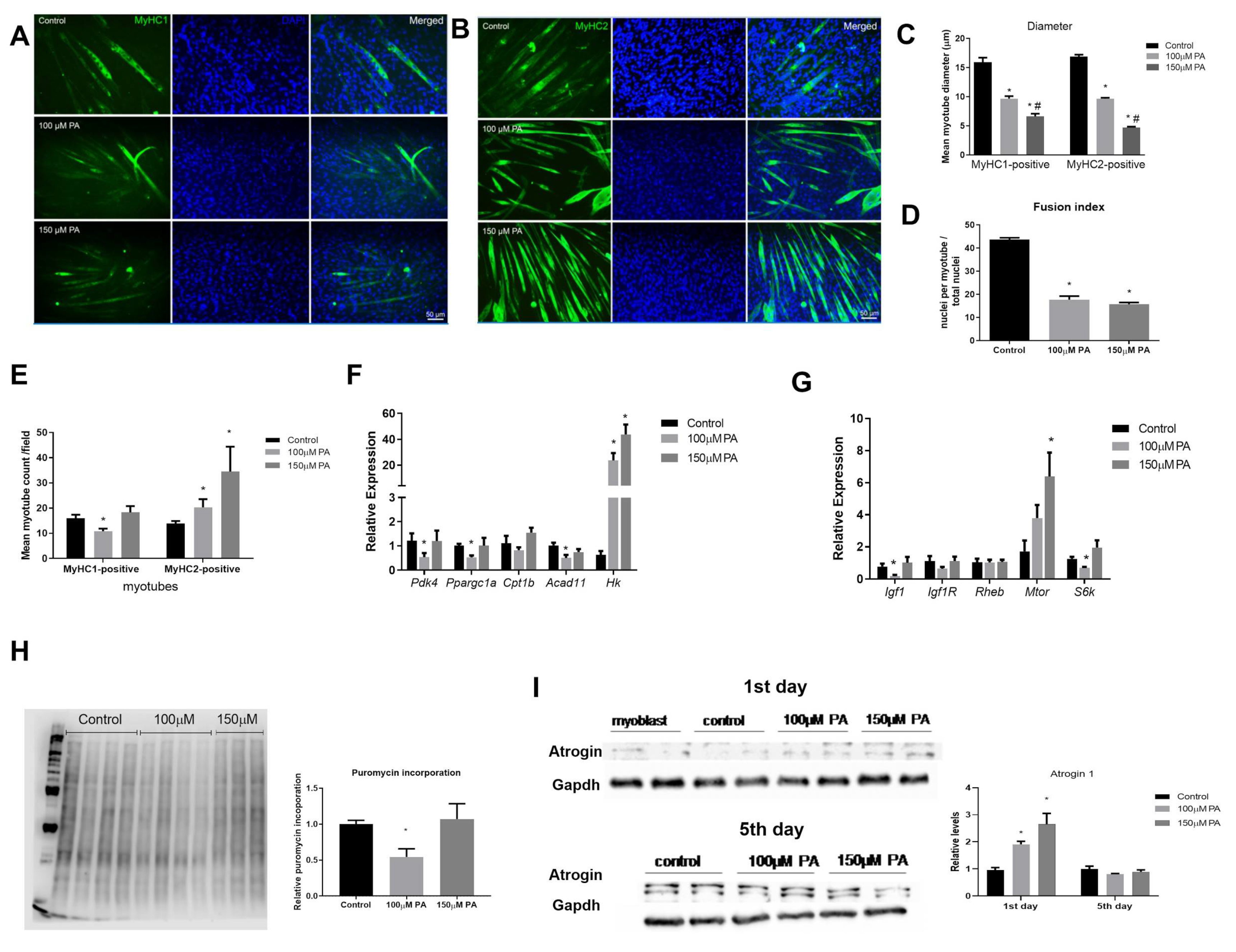 Ijms 22 02748 g006 Ijms 22 02748 g006