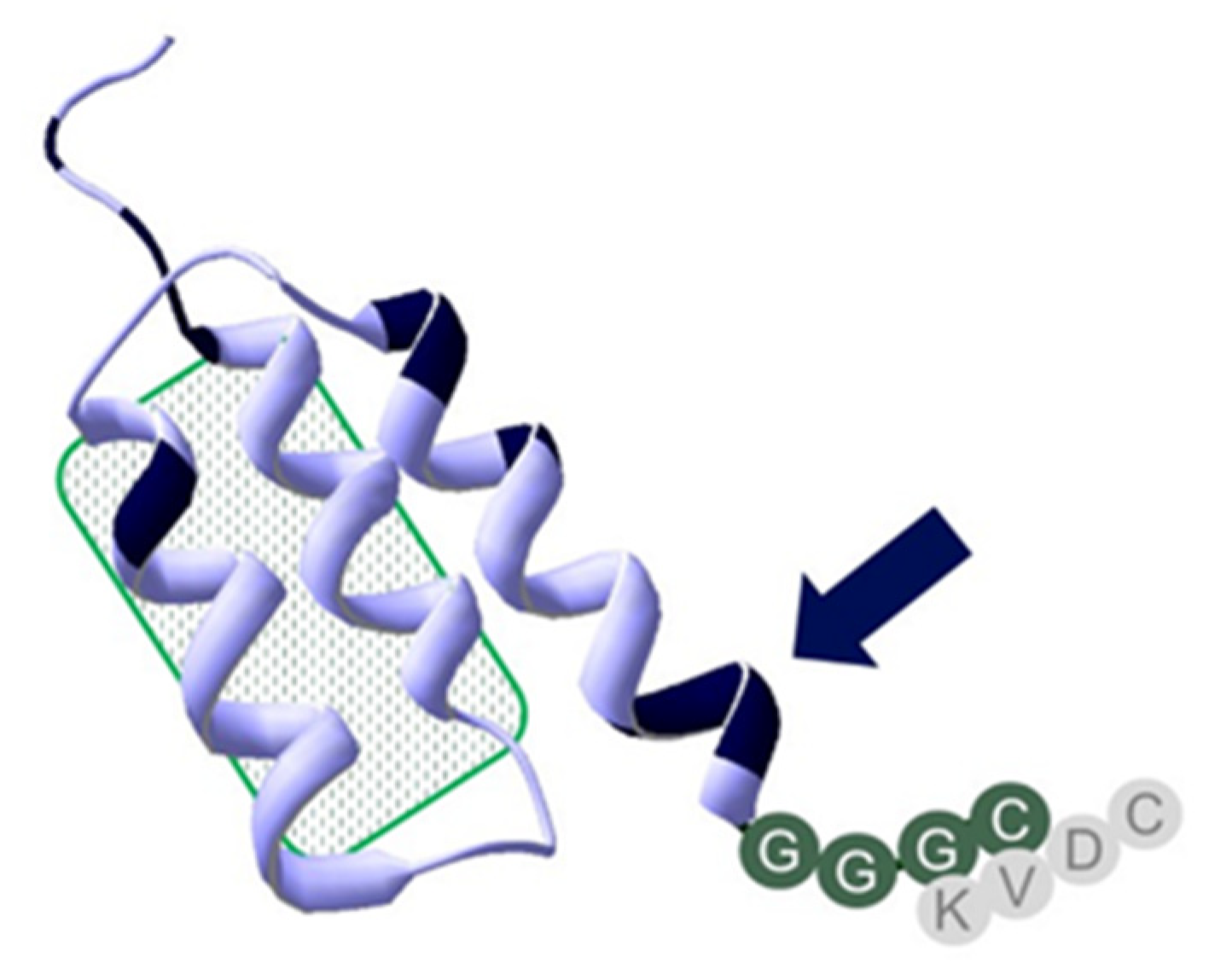 Ijms 22 02770 g001 Ijms 22 02770 g001