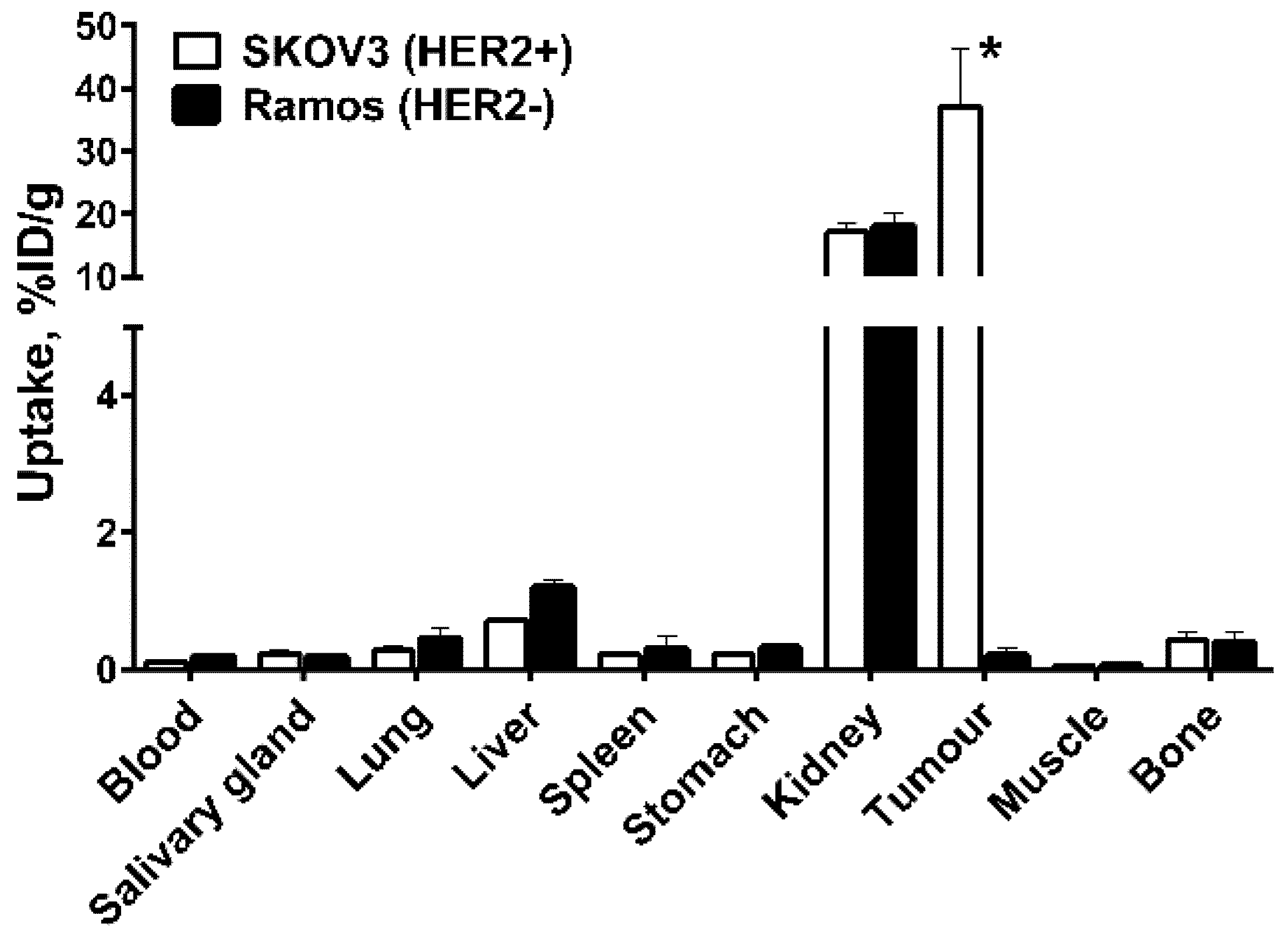 Ijms 22 02770 g008 Ijms 22 02770 g008