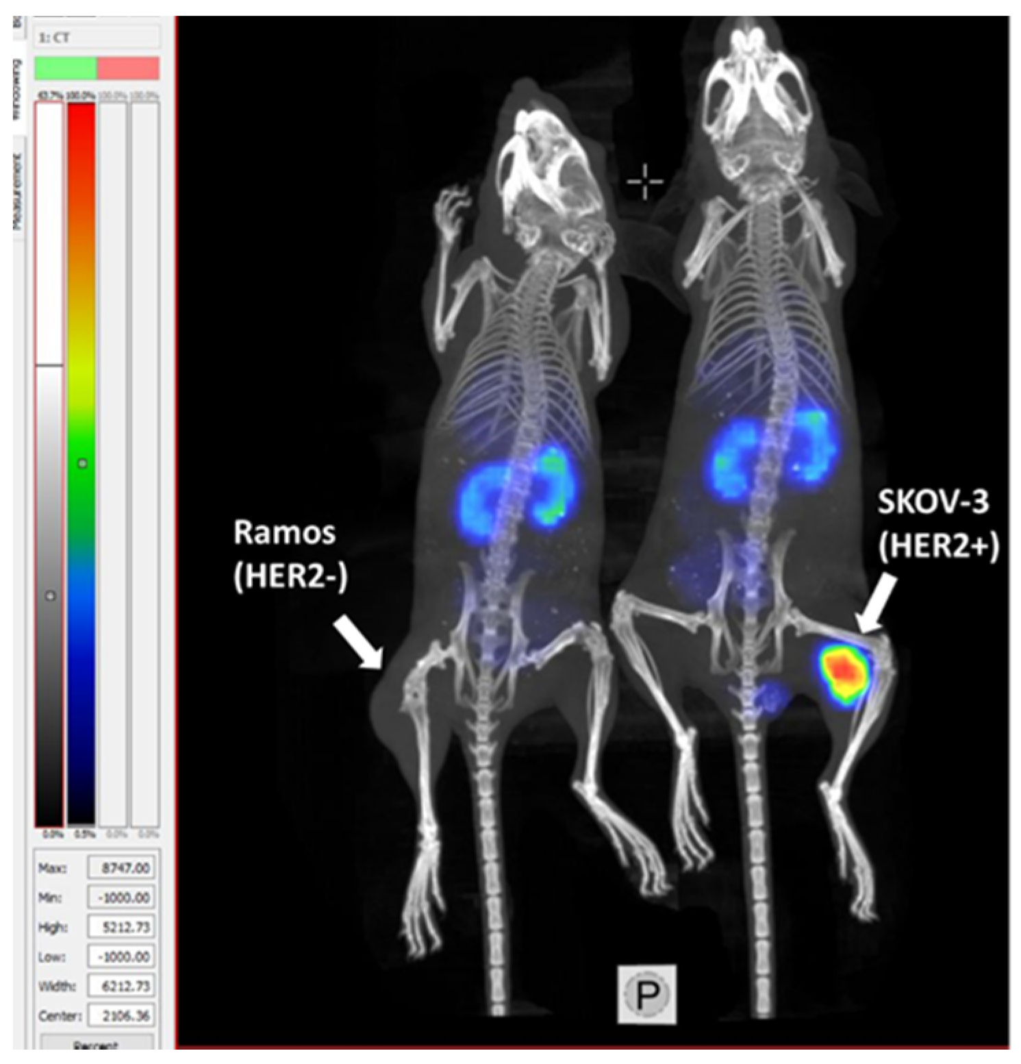 Ijms 22 02770 g010 Ijms 22 02770 g010