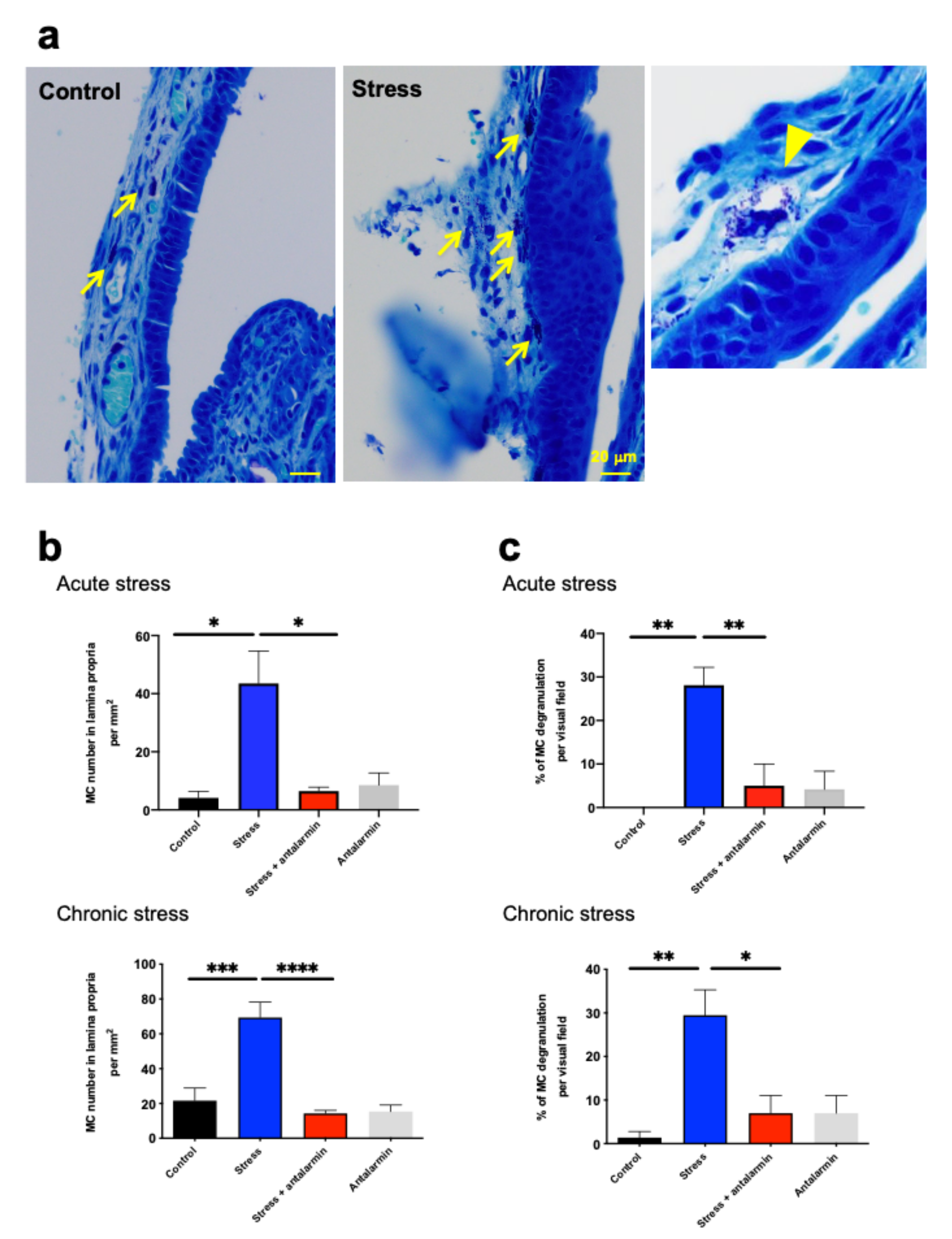 Ijms 22 02773 g006