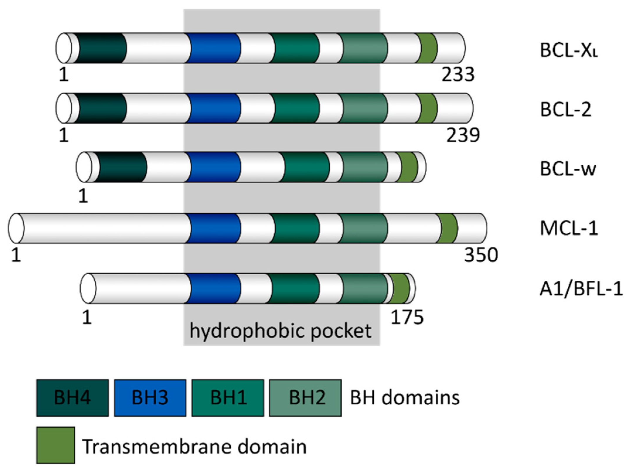 Ijms 22 02777 g001 Ijms 22 02777 g001