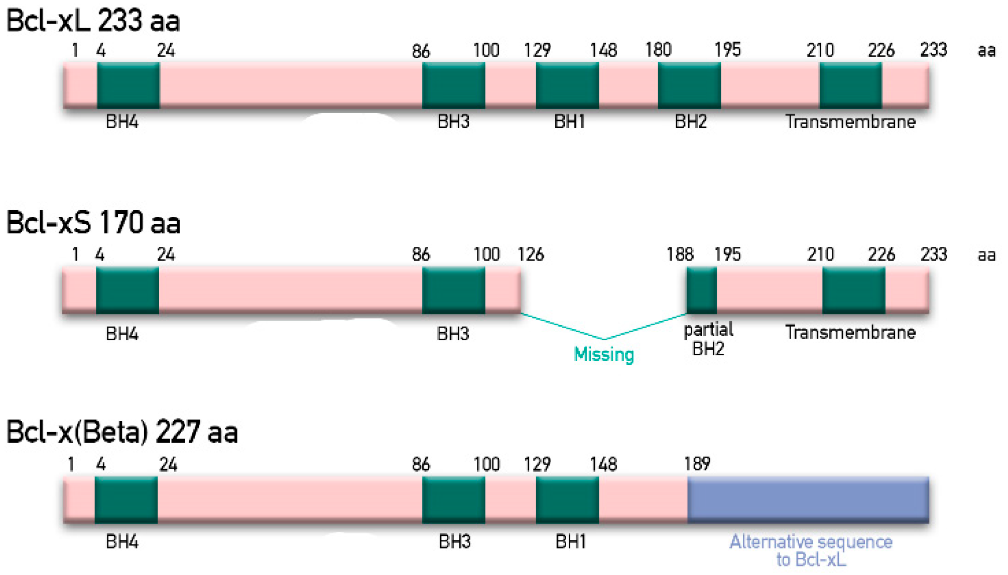 Ijms 22 02777 g002 Ijms 22 02777 g002