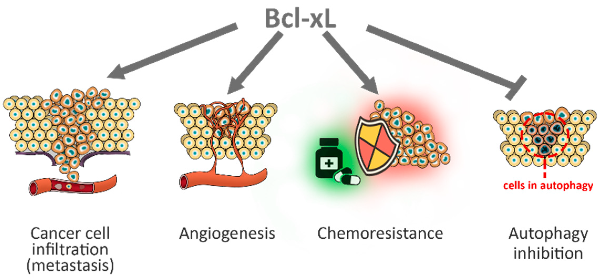 Ijms 22 02777 g004 Ijms 22 02777 g004