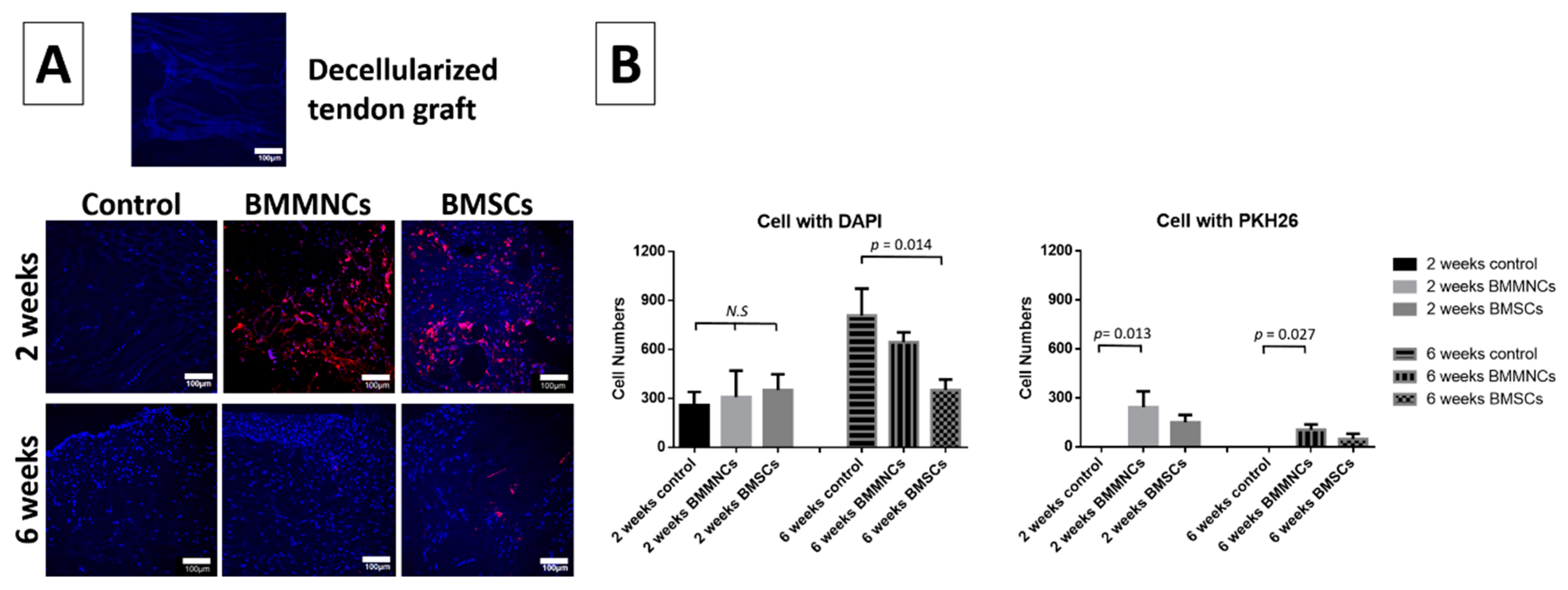Ijms 22 02791 g002 Ijms 22 02791 g002