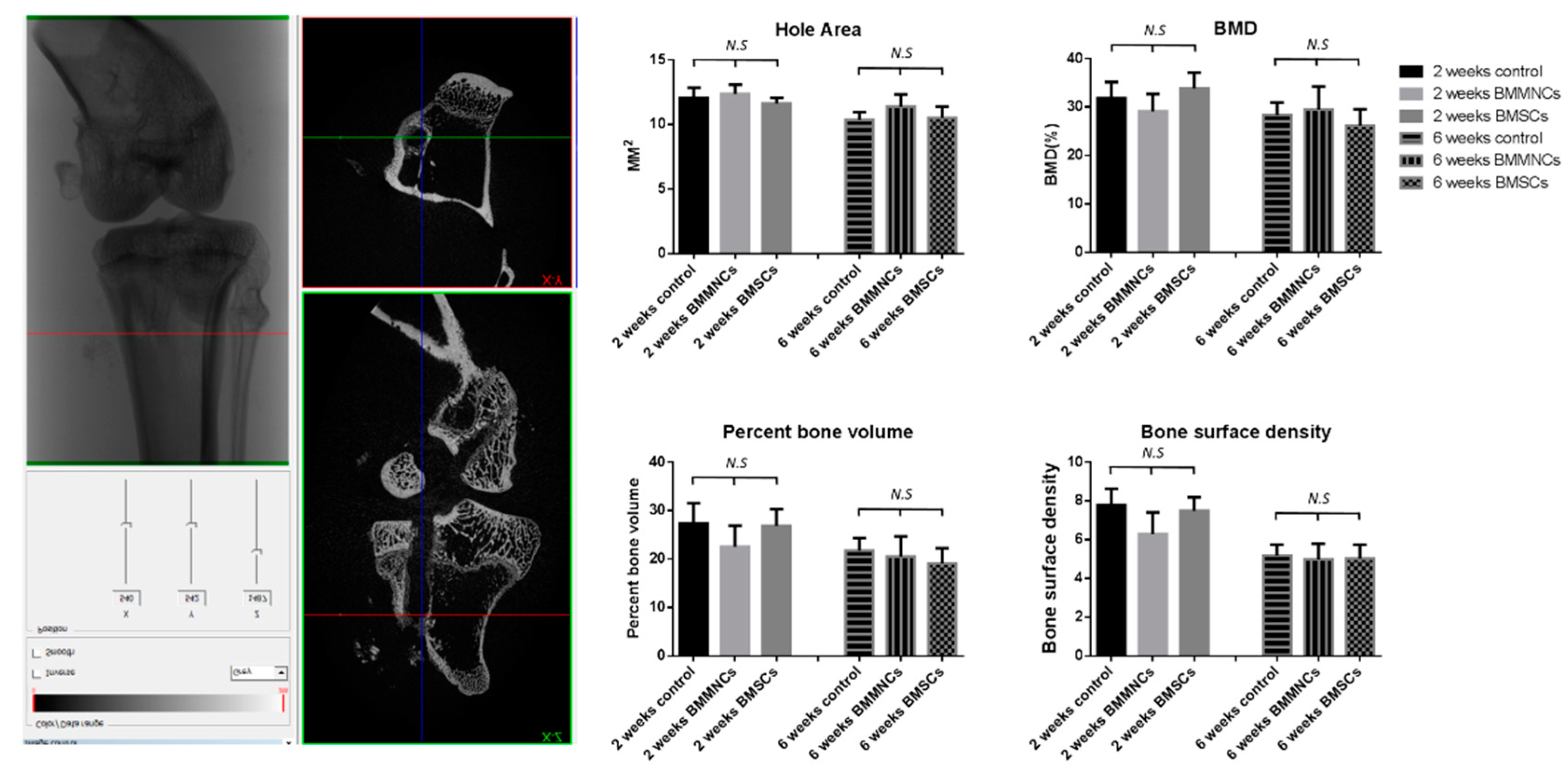 Ijms 22 02791 g005 Ijms 22 02791 g005
