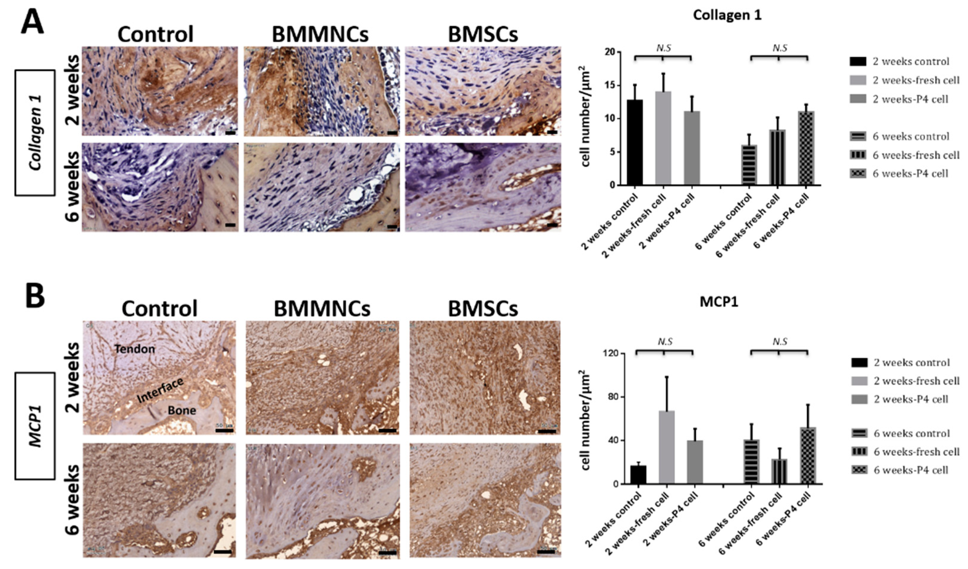 Ijms 22 02791 g006 Ijms 22 02791 g006