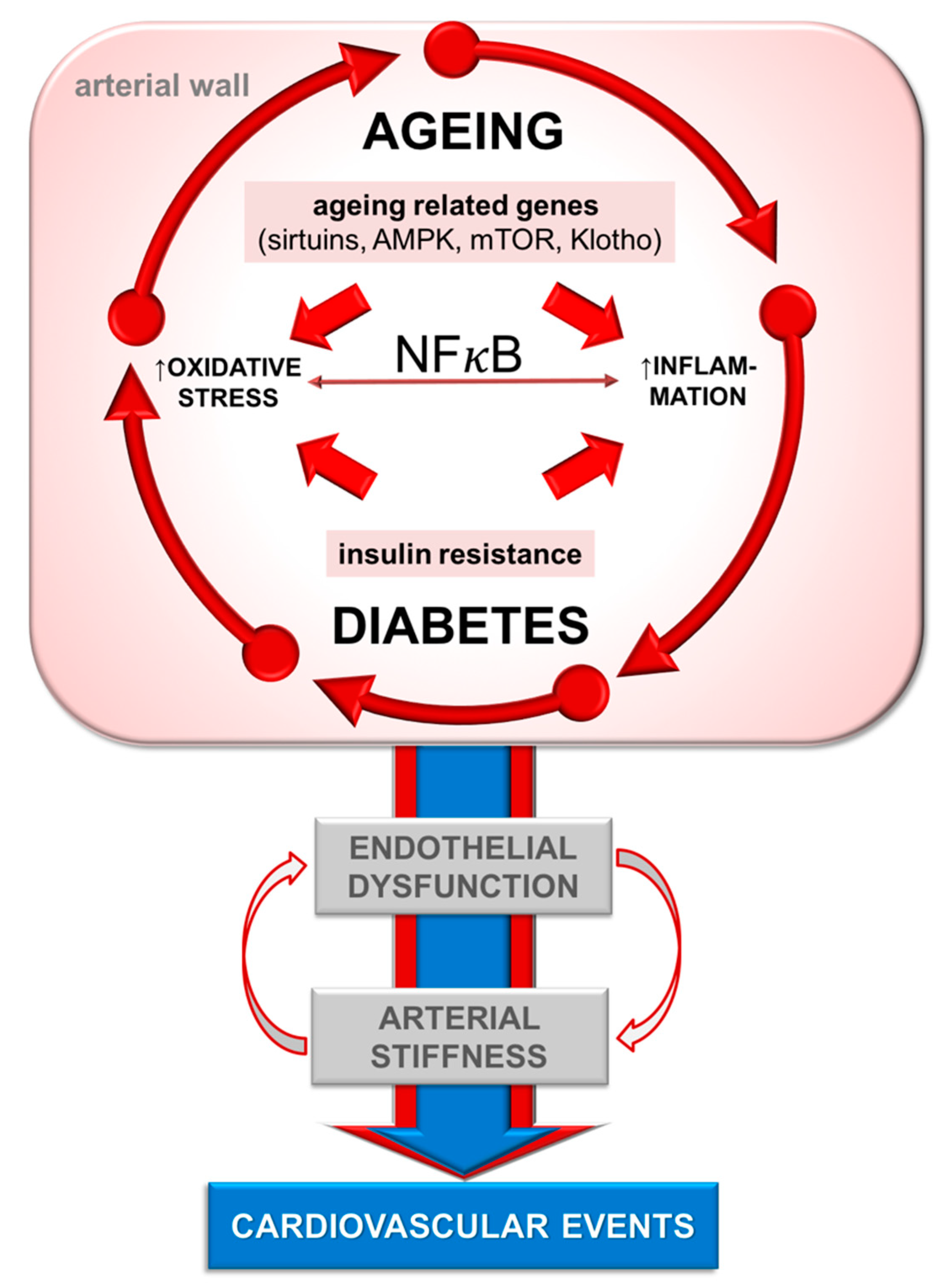 Ijms 22 02796 g001 Ijms 22 02796 g001