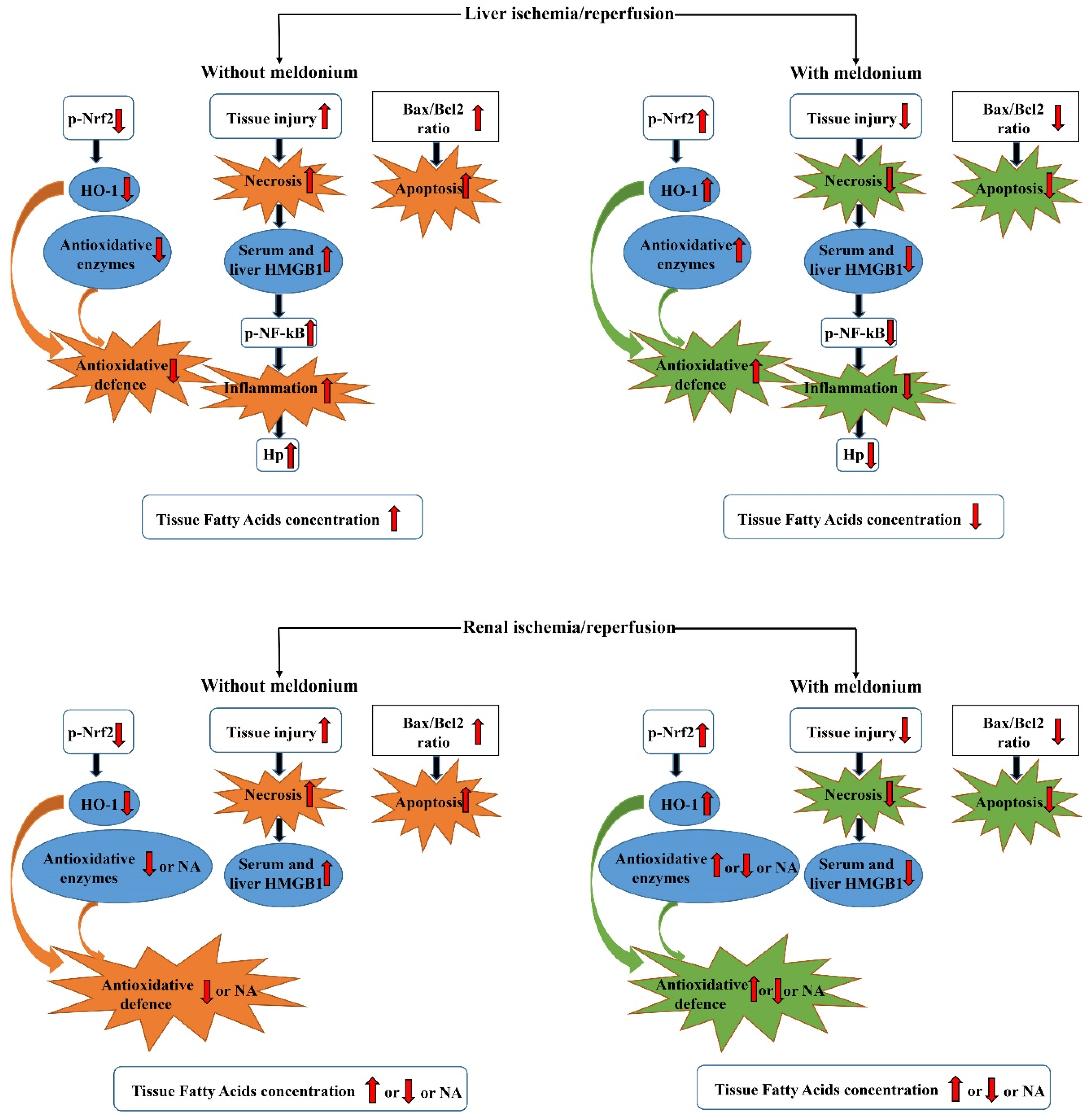 Ijms 22 02798 g002 Ijms 22 02798 g002