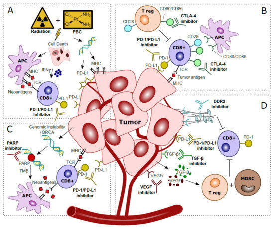 Ijms 22 02800 g002 550